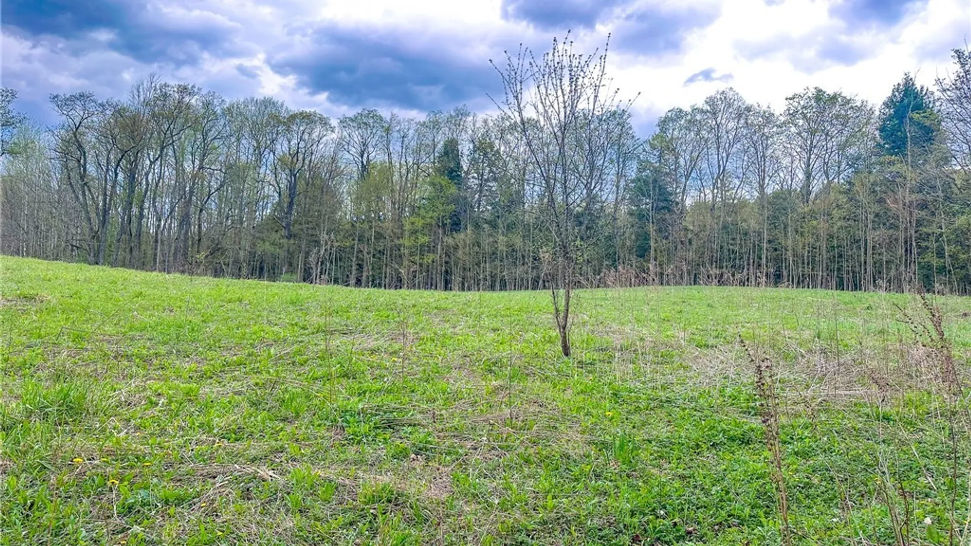 Property at Shephard Road, Fenner, NY 13035 4
