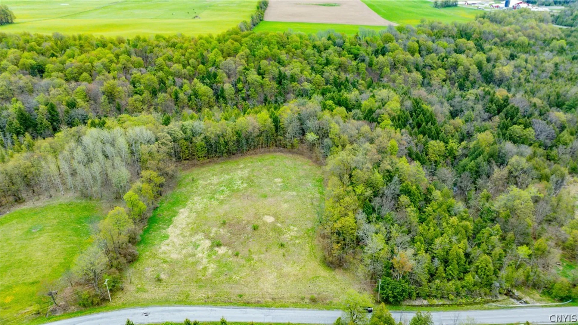Property at Shephard Road, Fenner, NY 13035 7