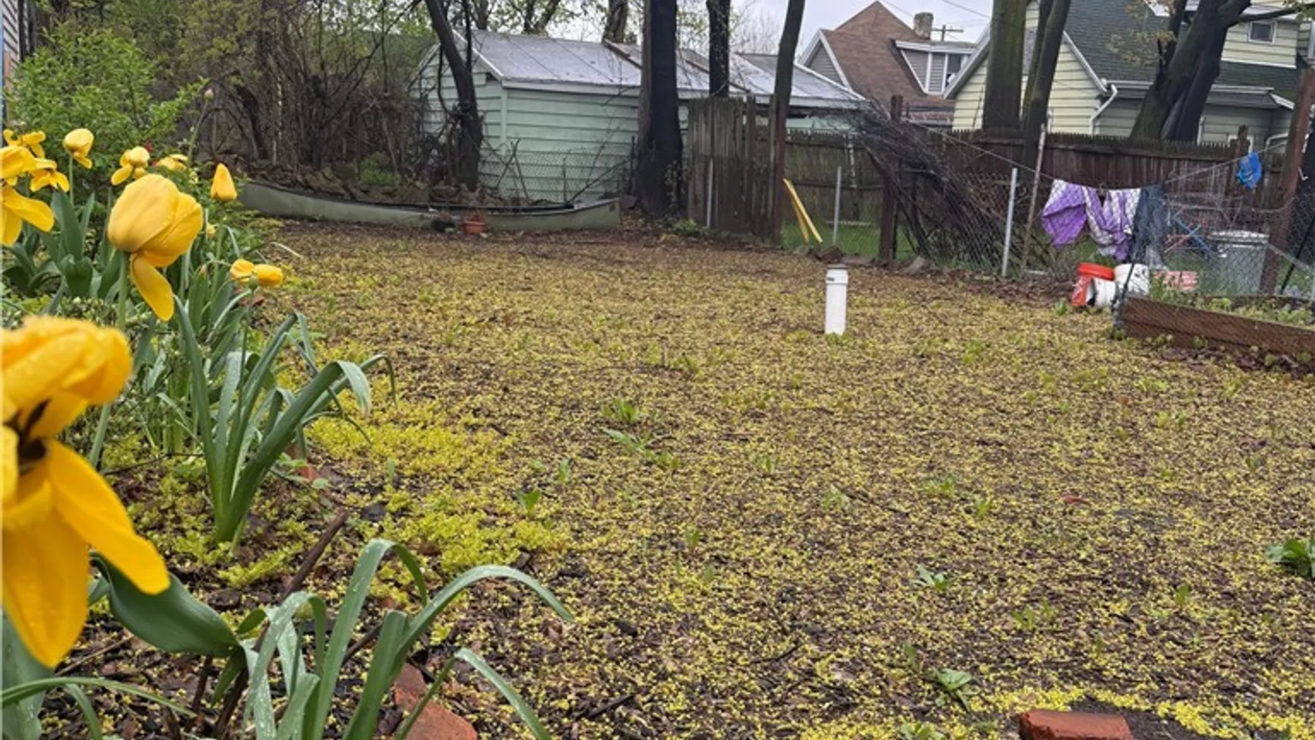 Property at 112 Masten Avenue, Buffalo, NY 14209 27