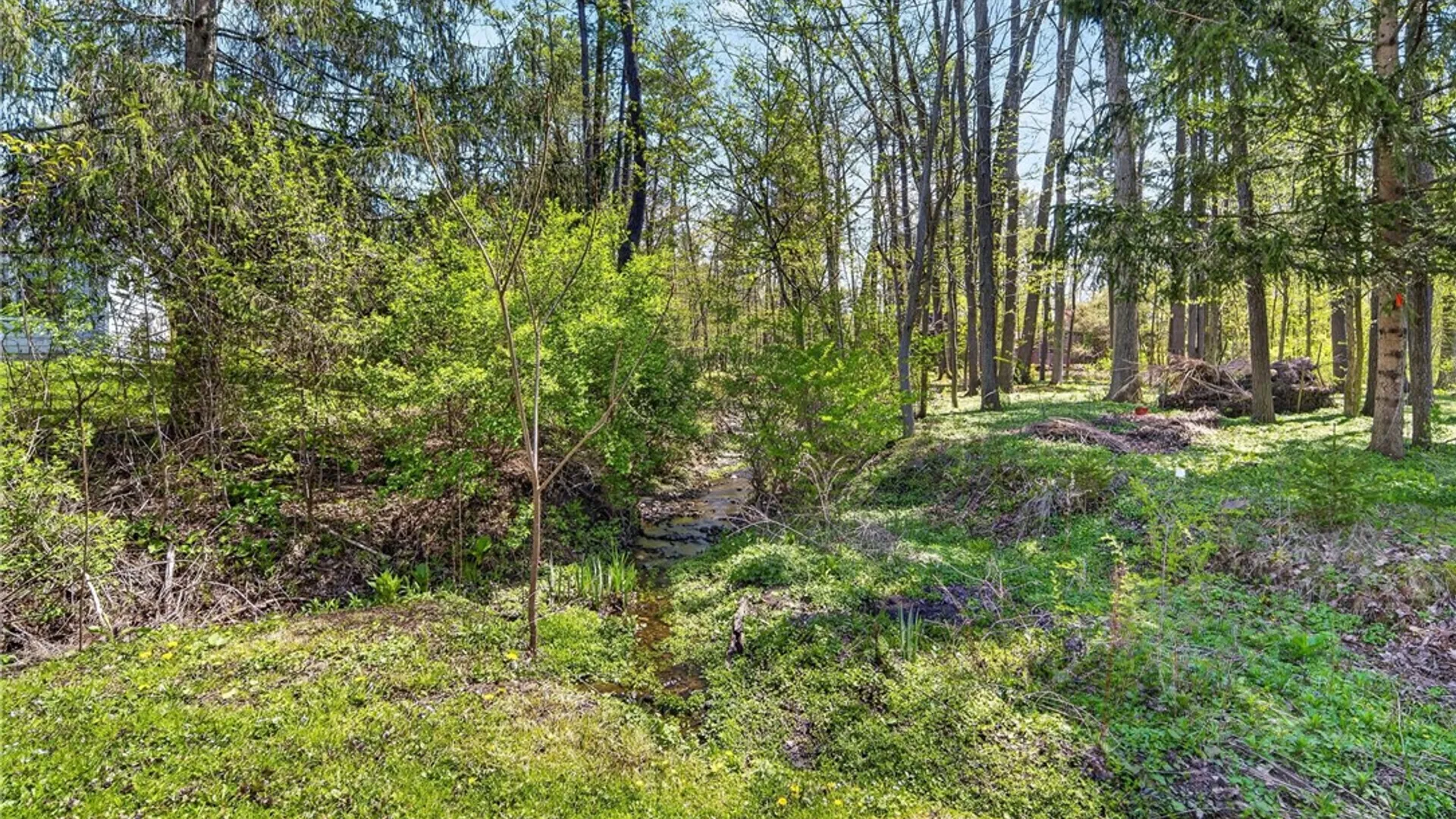 Property at 315 Blackstone Avenue, Ithaca Town, NY 14850 43