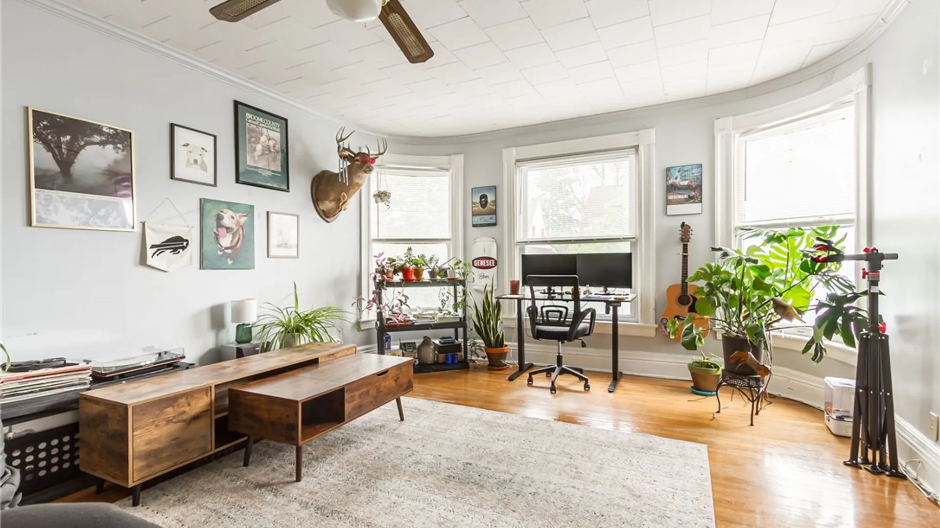 Property at 115 Rutgers St Street, Rochester, NY 14607 7