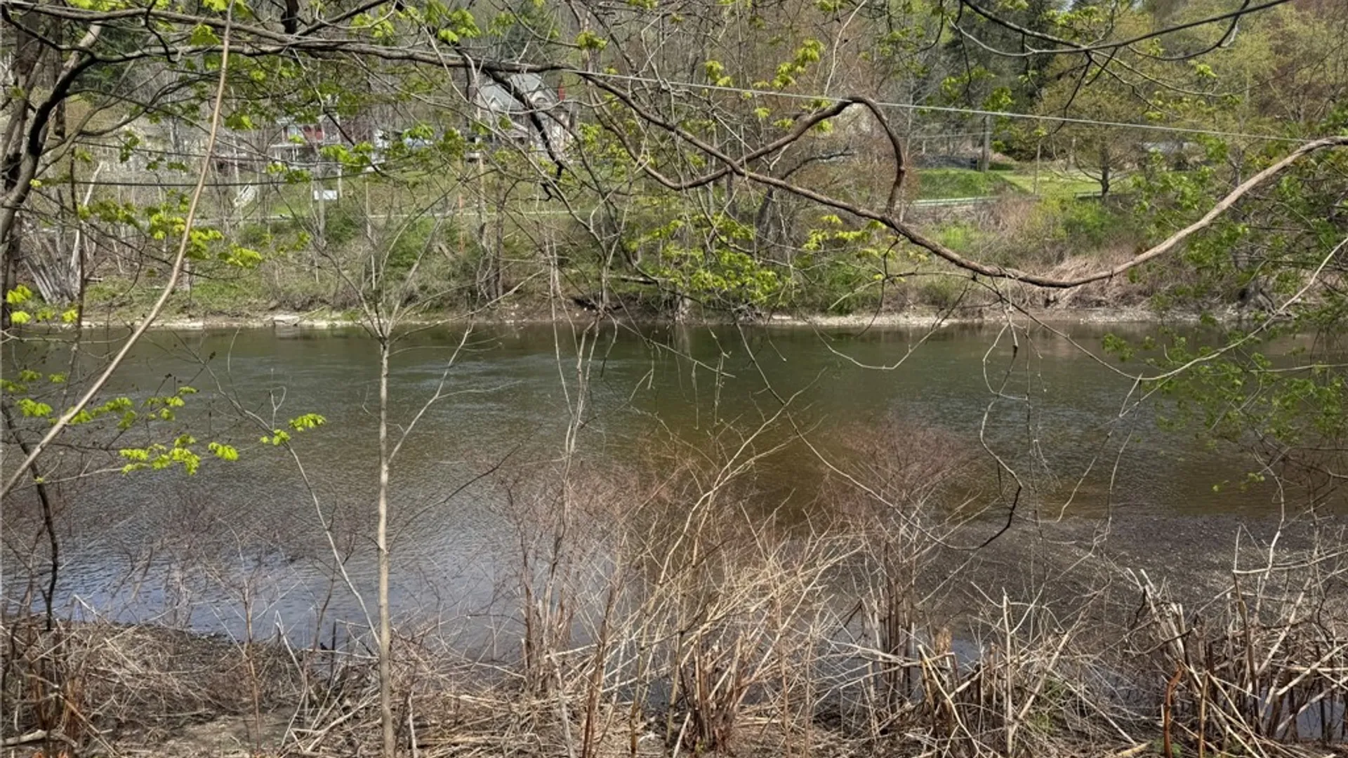 Property at 50 Bridge Street, Sidney, NY 13838 3