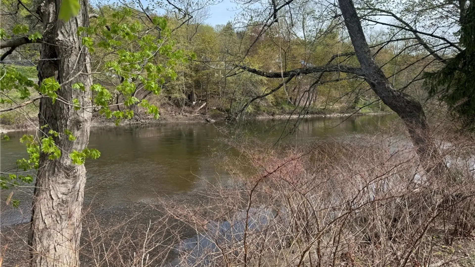 Property at 50 Bridge Street, Sidney, NY 13838 6