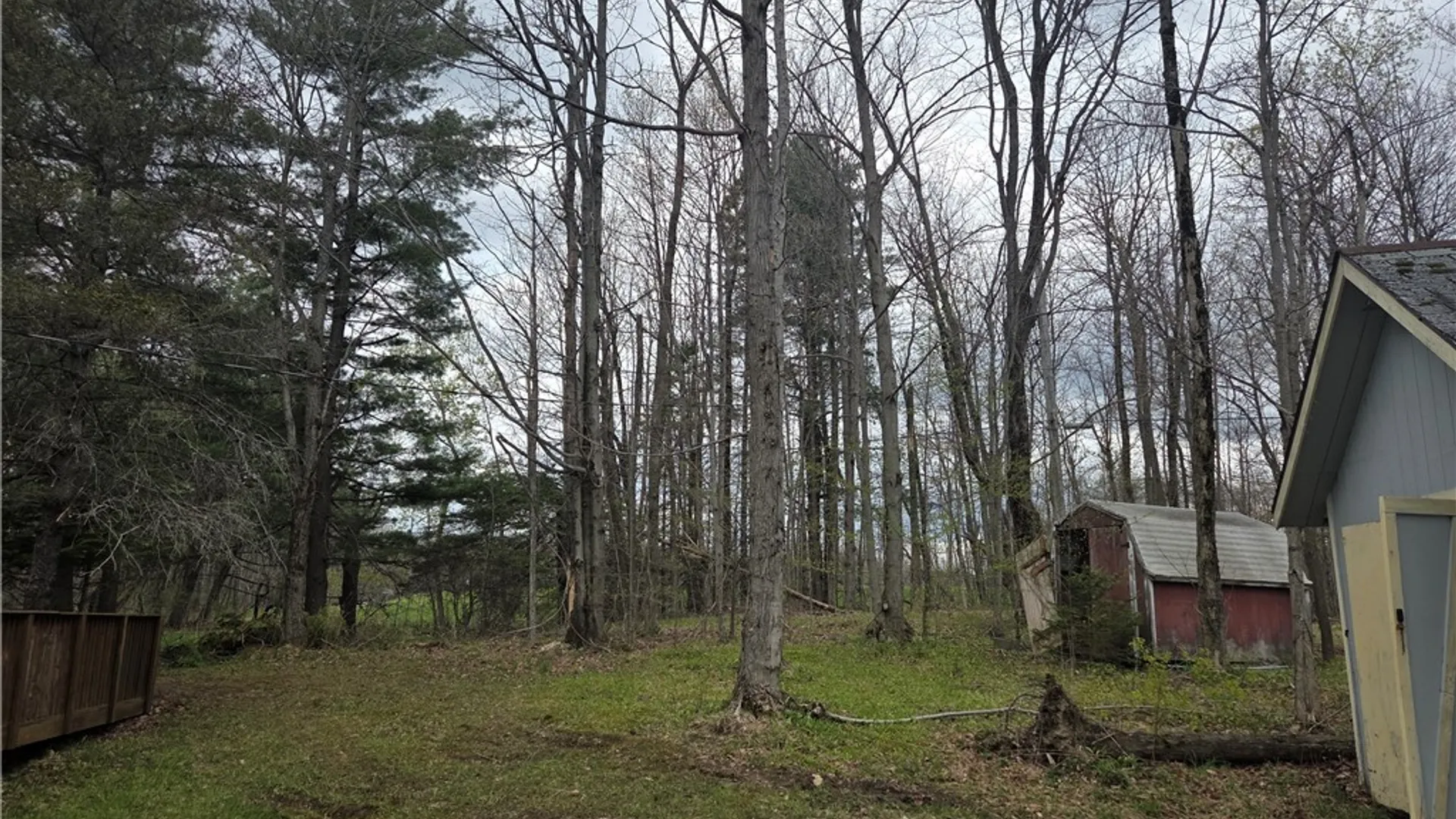 Property at 19 Meadowlark Lane, Orangeville, NY 14569 22