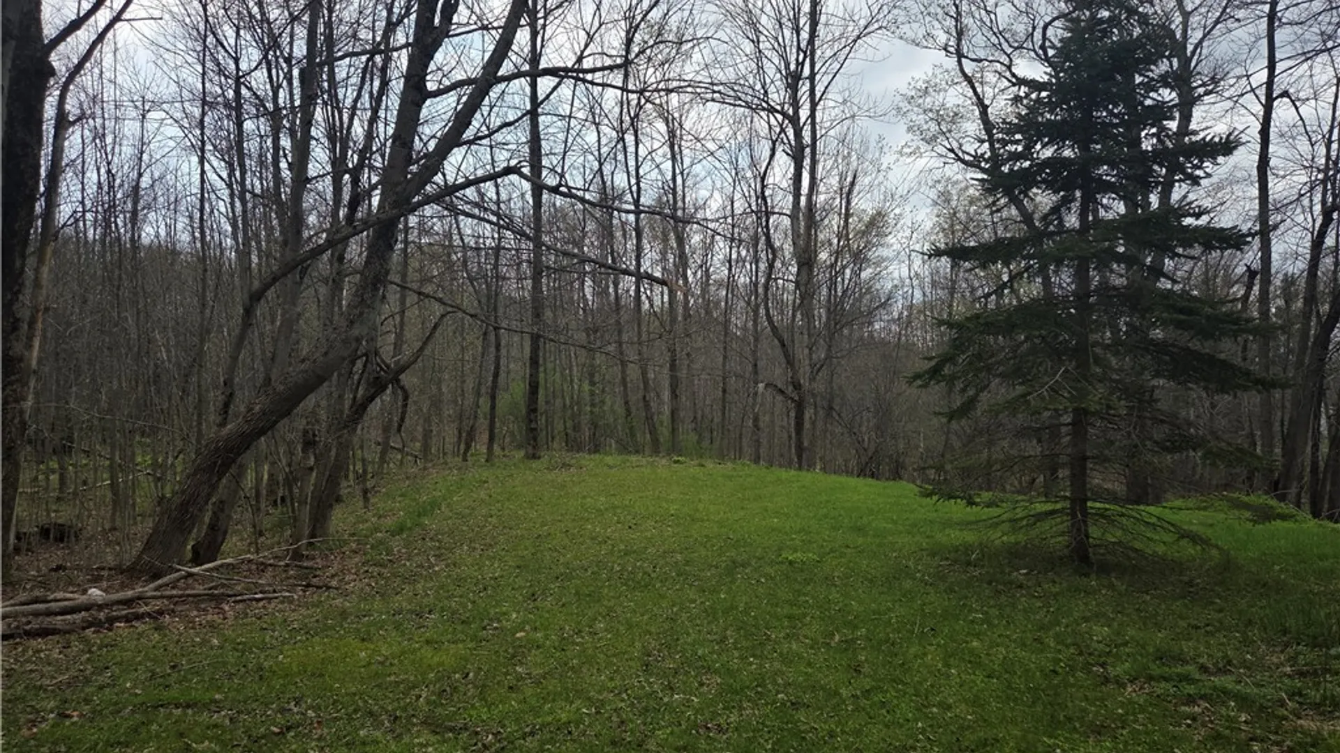 Property at 19 Meadowlark Lane, Orangeville, NY 14569 4