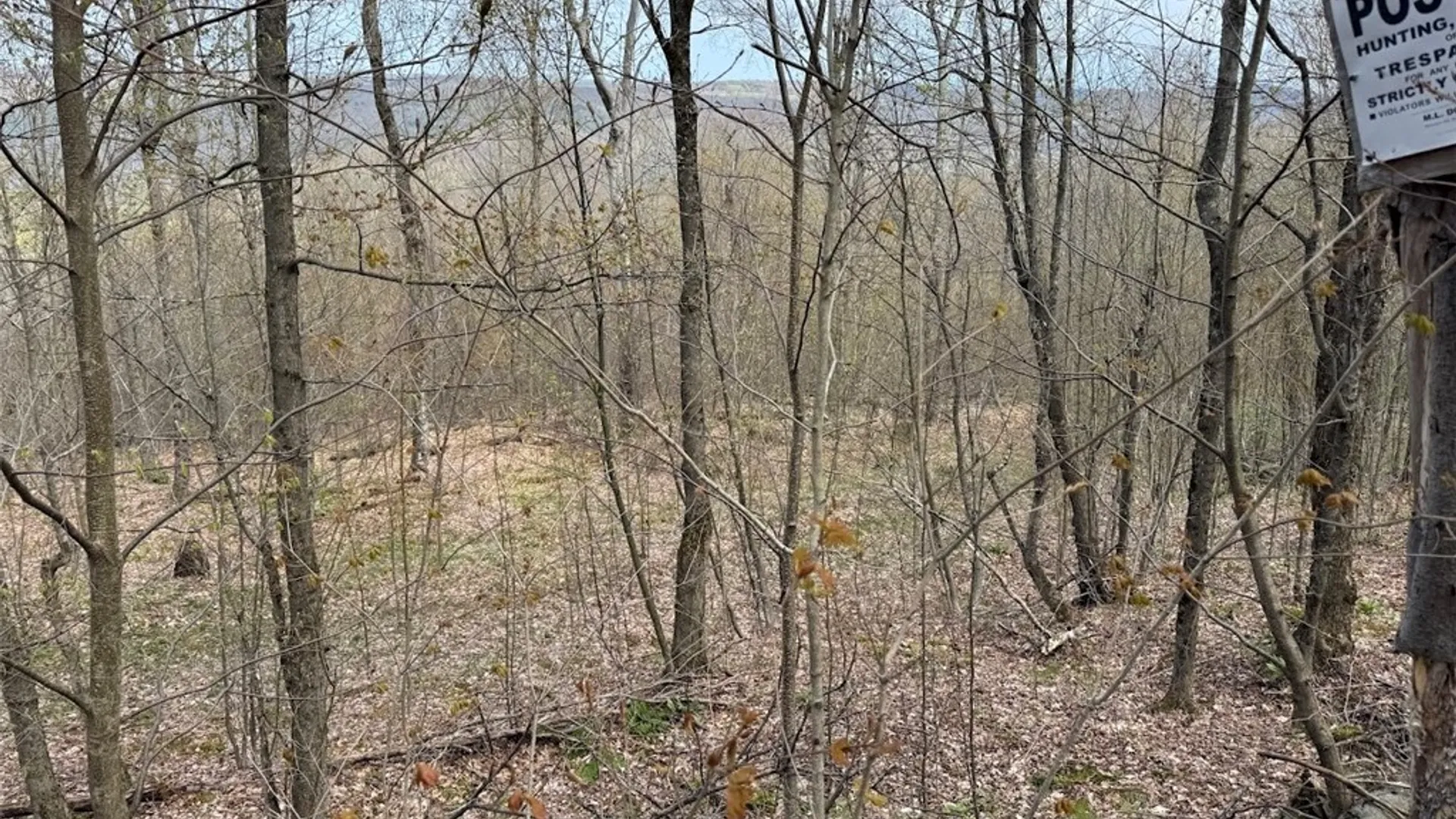 Property at Bramley Mountain Road, Delhi, NY 13753 19