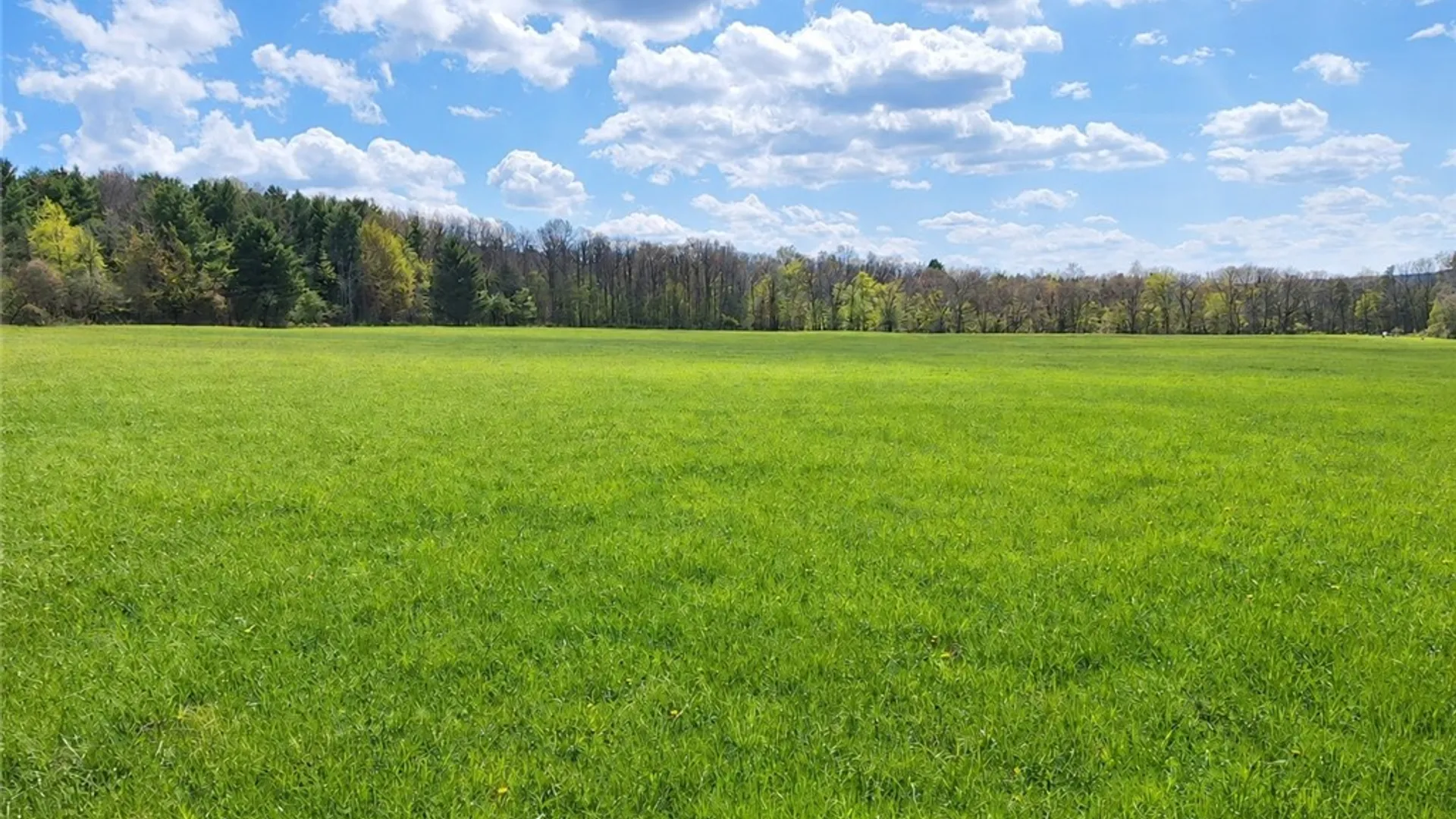 Property at 0 Sisson lot 10 Road, Milo, NY 14527 23