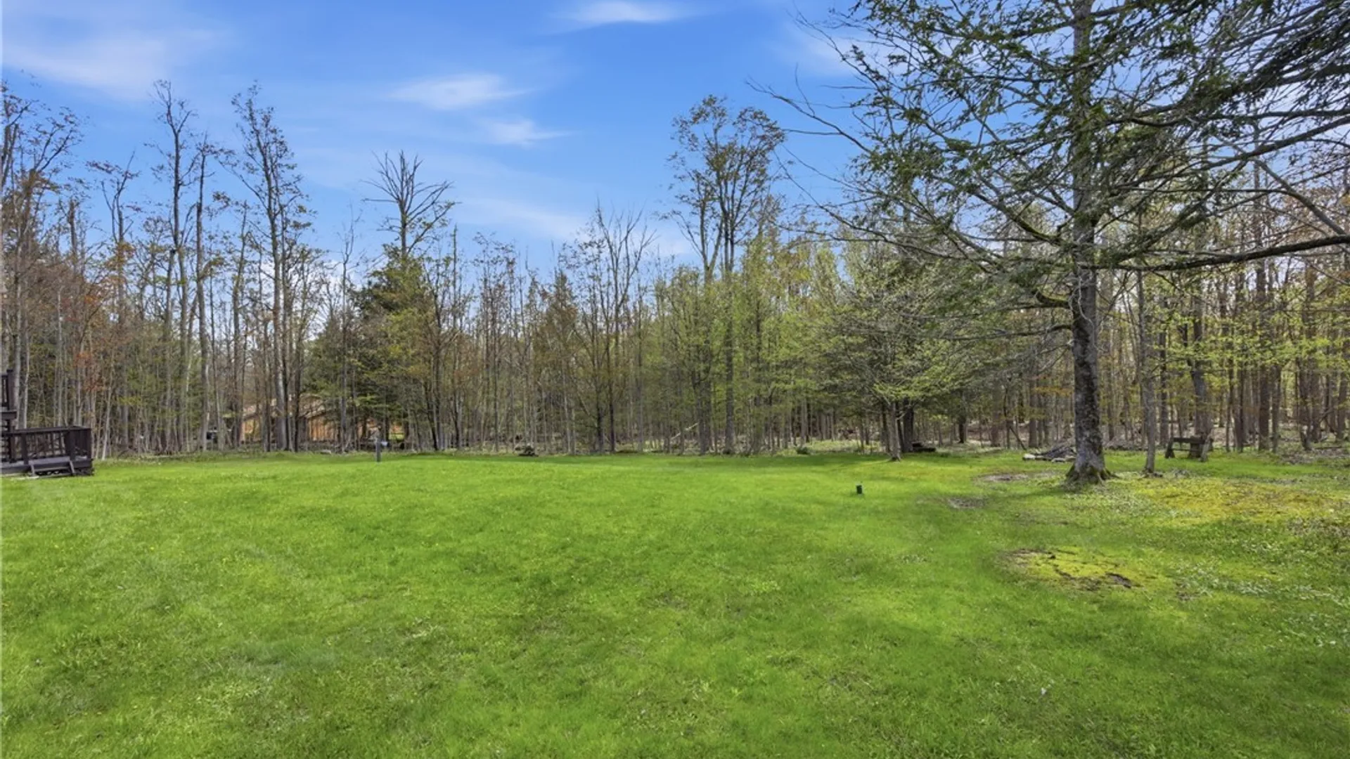 Property at 23 Cherrywood, Holland, NY 14080 39
