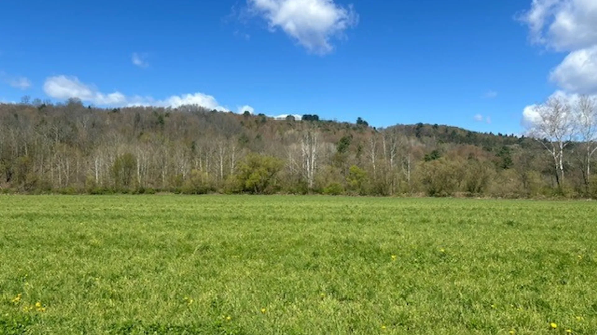 Property at 1779 Creek Road, Newark Valley, NY 13811 16