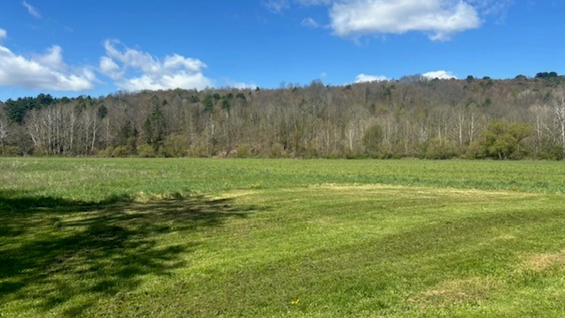 Property at 1779 W Creek Road, Newark Valley, NY 13811 18