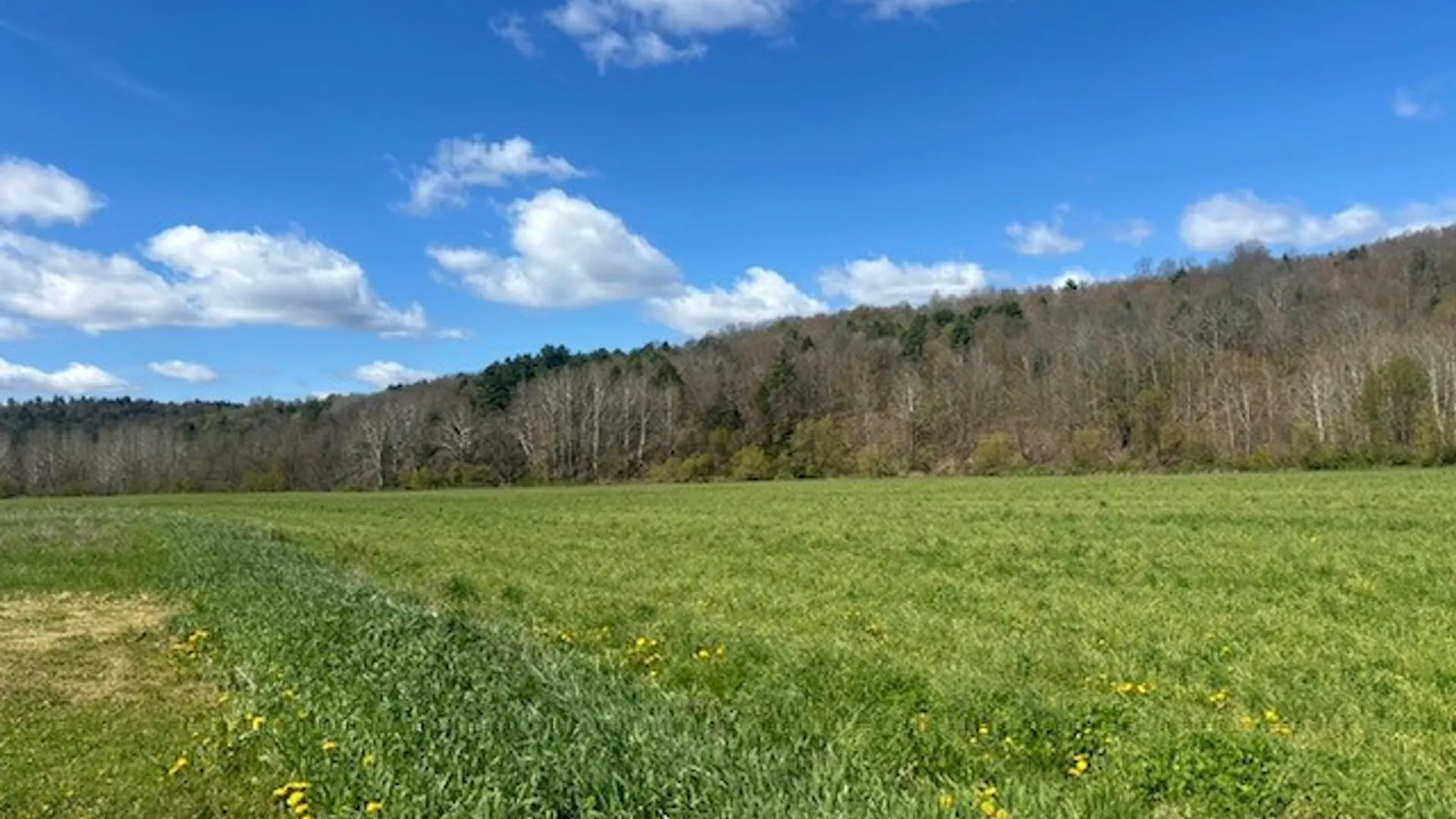 Property at 1779 W Creek Road, Newark Valley, NY 13811 19