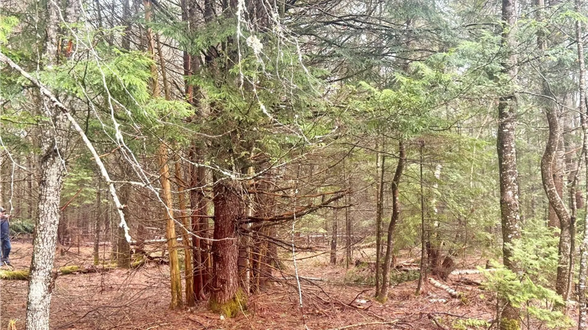 Property at 548 County Route 18, Harristown, NY 12945 10