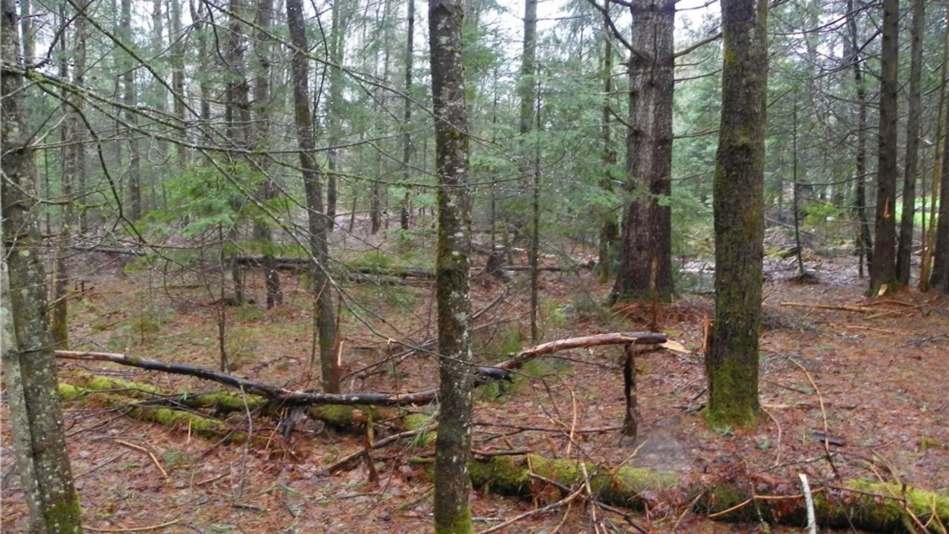 Property at 548 County Route 18, Harristown, NY 12945 14