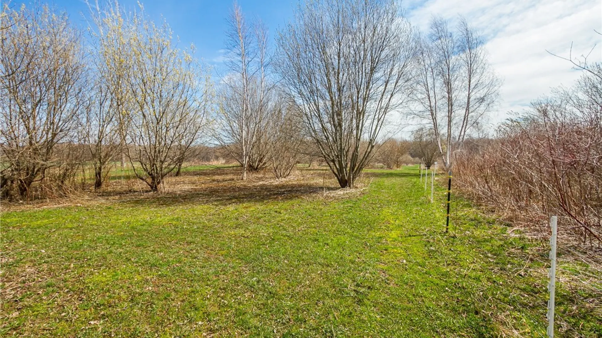 Property at 3859 Gaines Basin Road, Albion, NY 14411 36