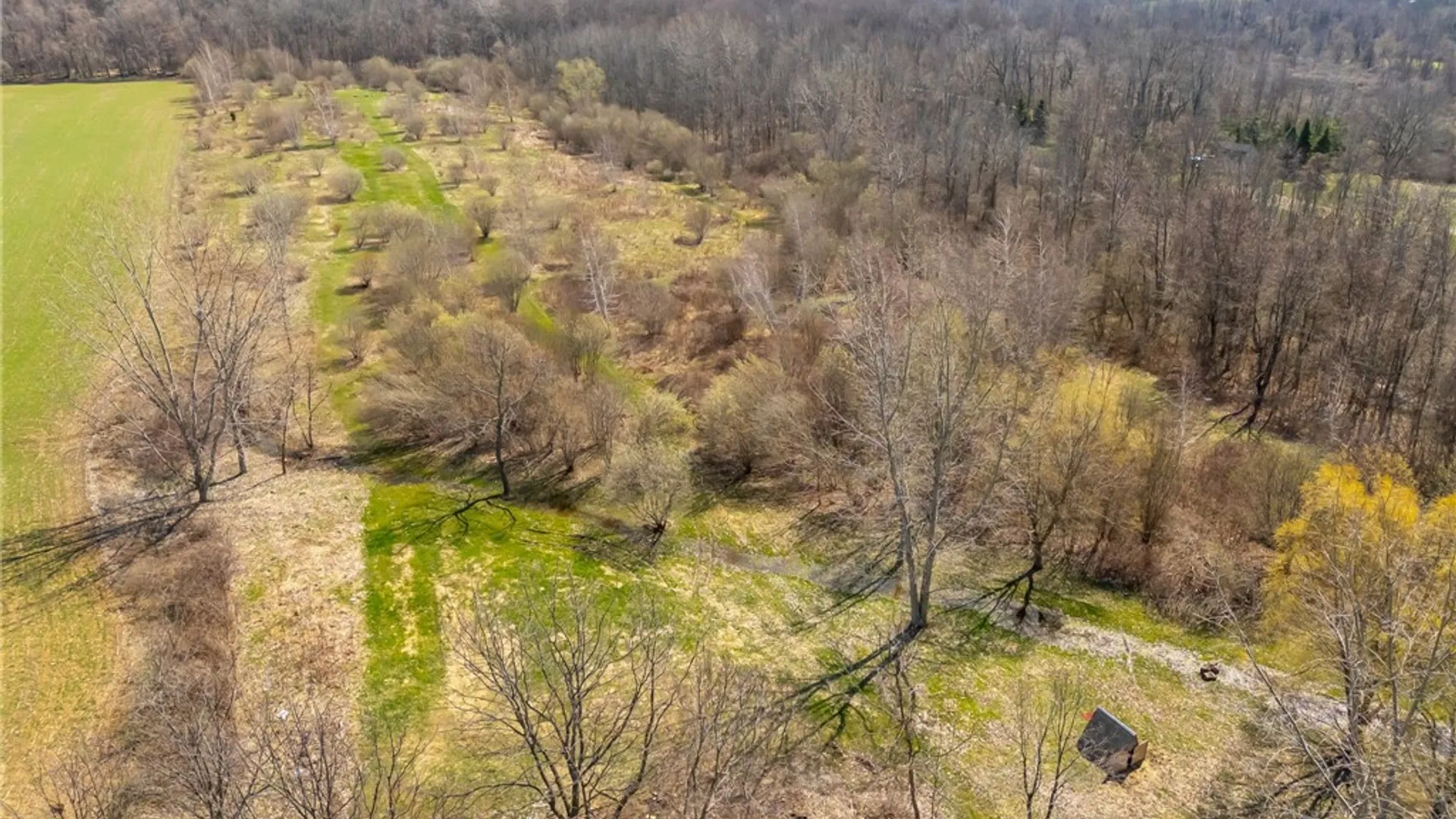 Property at 3859 Gaines Basin Road, Albion, NY 14411 47