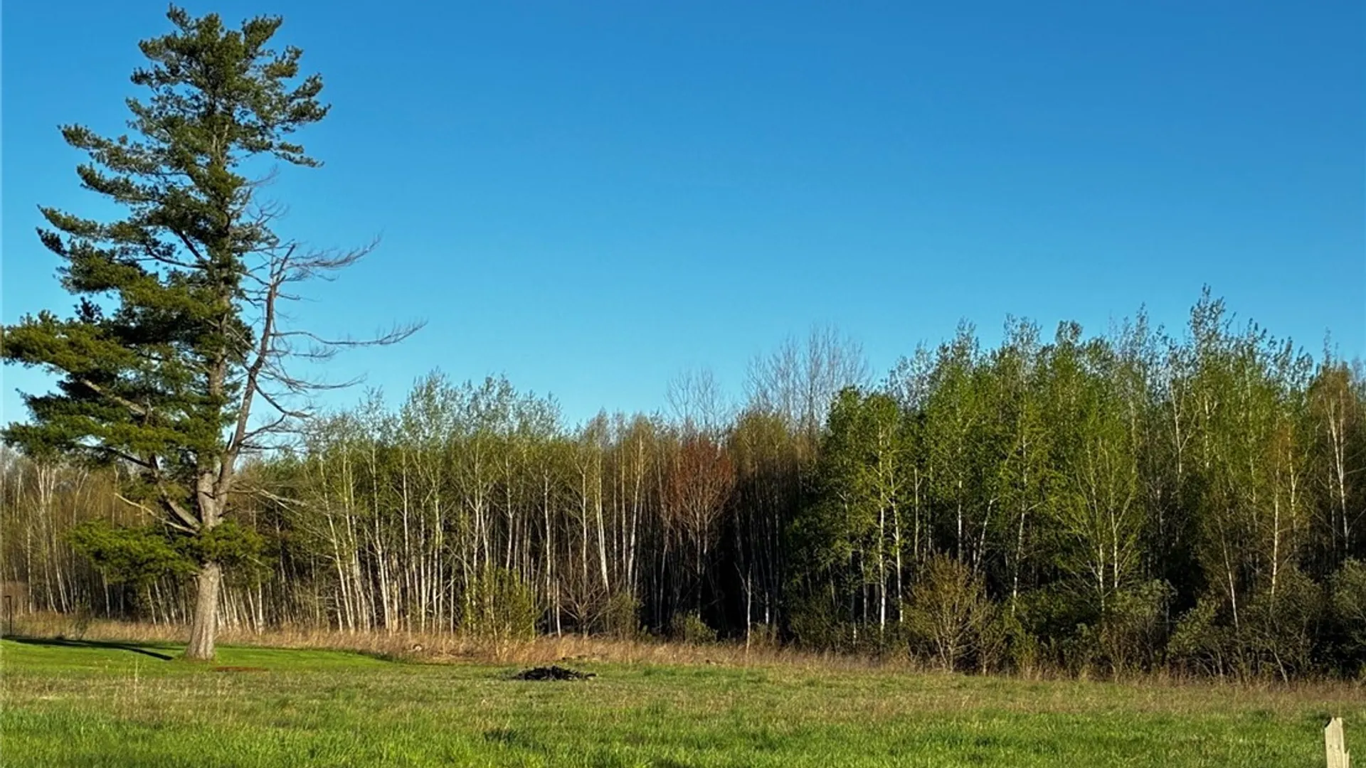 Property at 1077 US Highway 11, Gouverneur, NY 13642 2