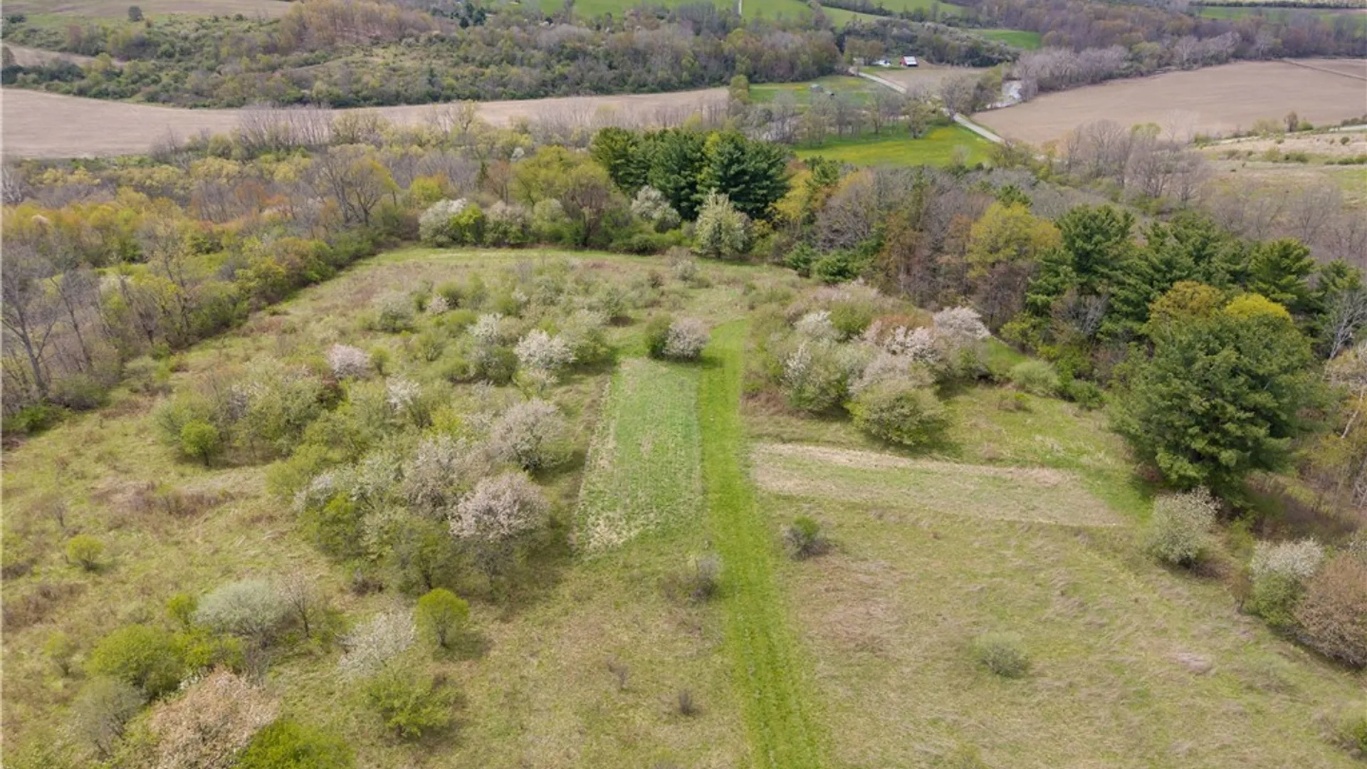 Property at 10136 County Road 13, Burns, NY 14822 22