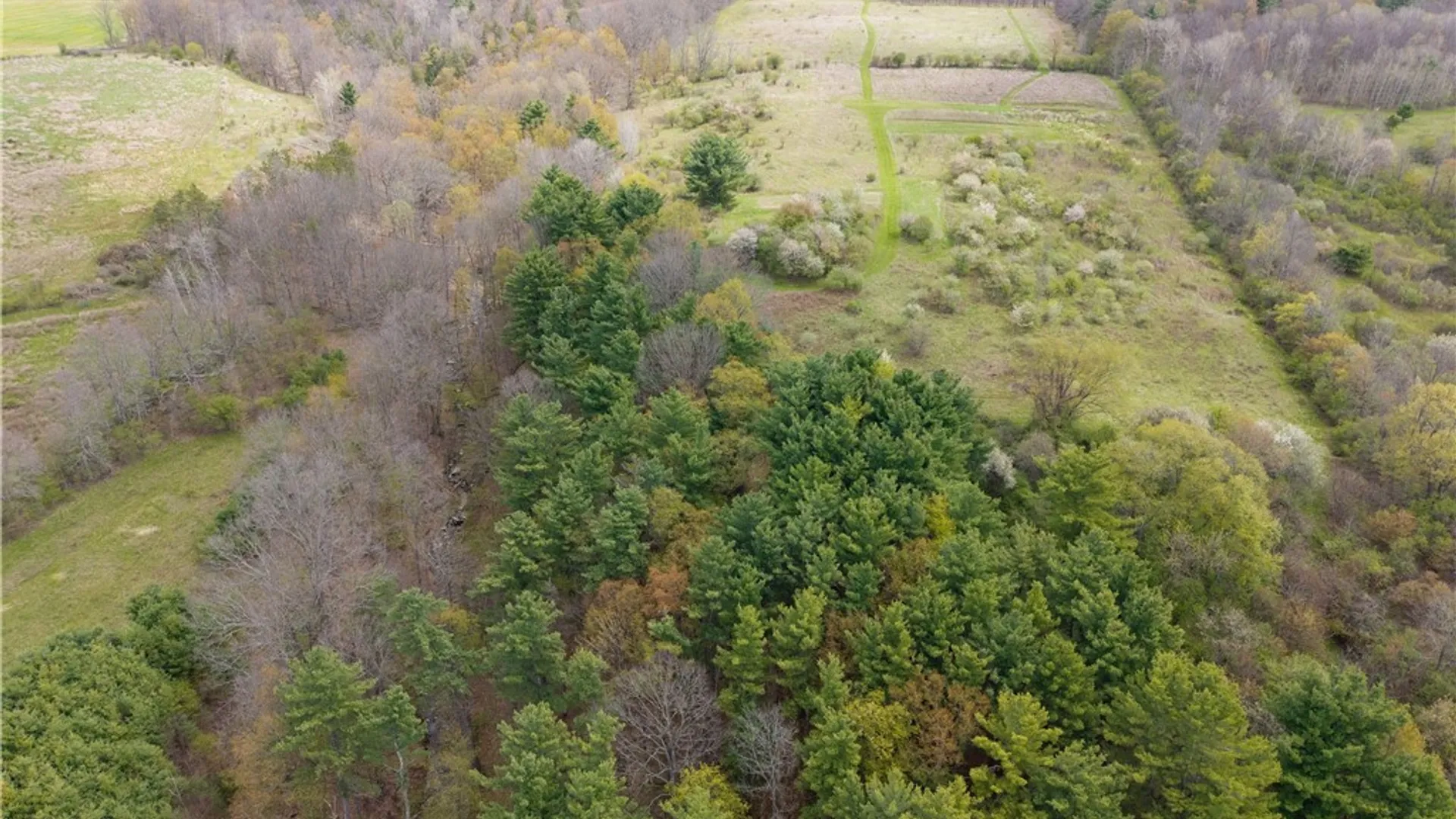 Property at 10136 County Road 13, Burns, NY 14822 27