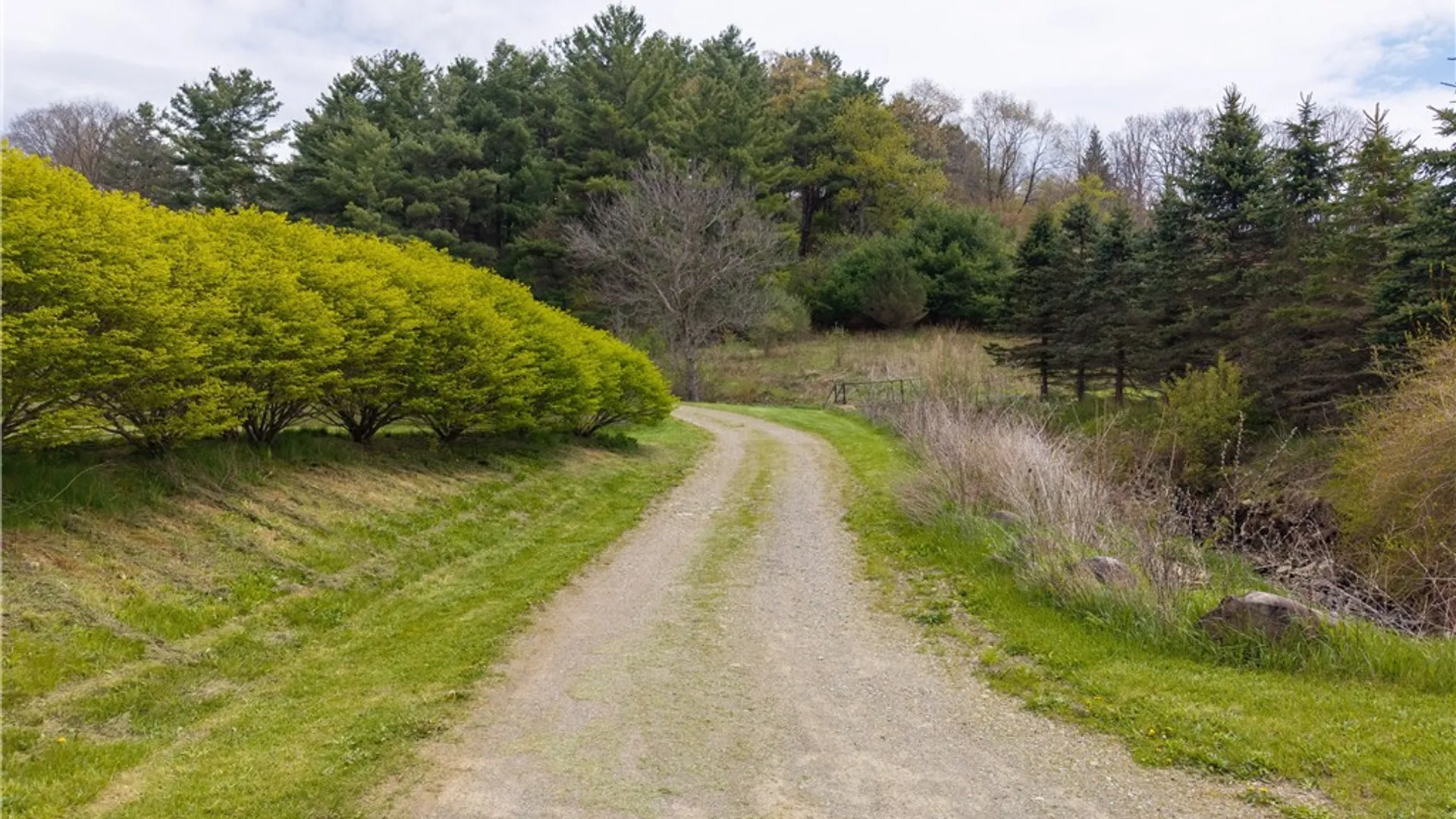 Property at 10136 County Road 13, Burns, NY 14822 34