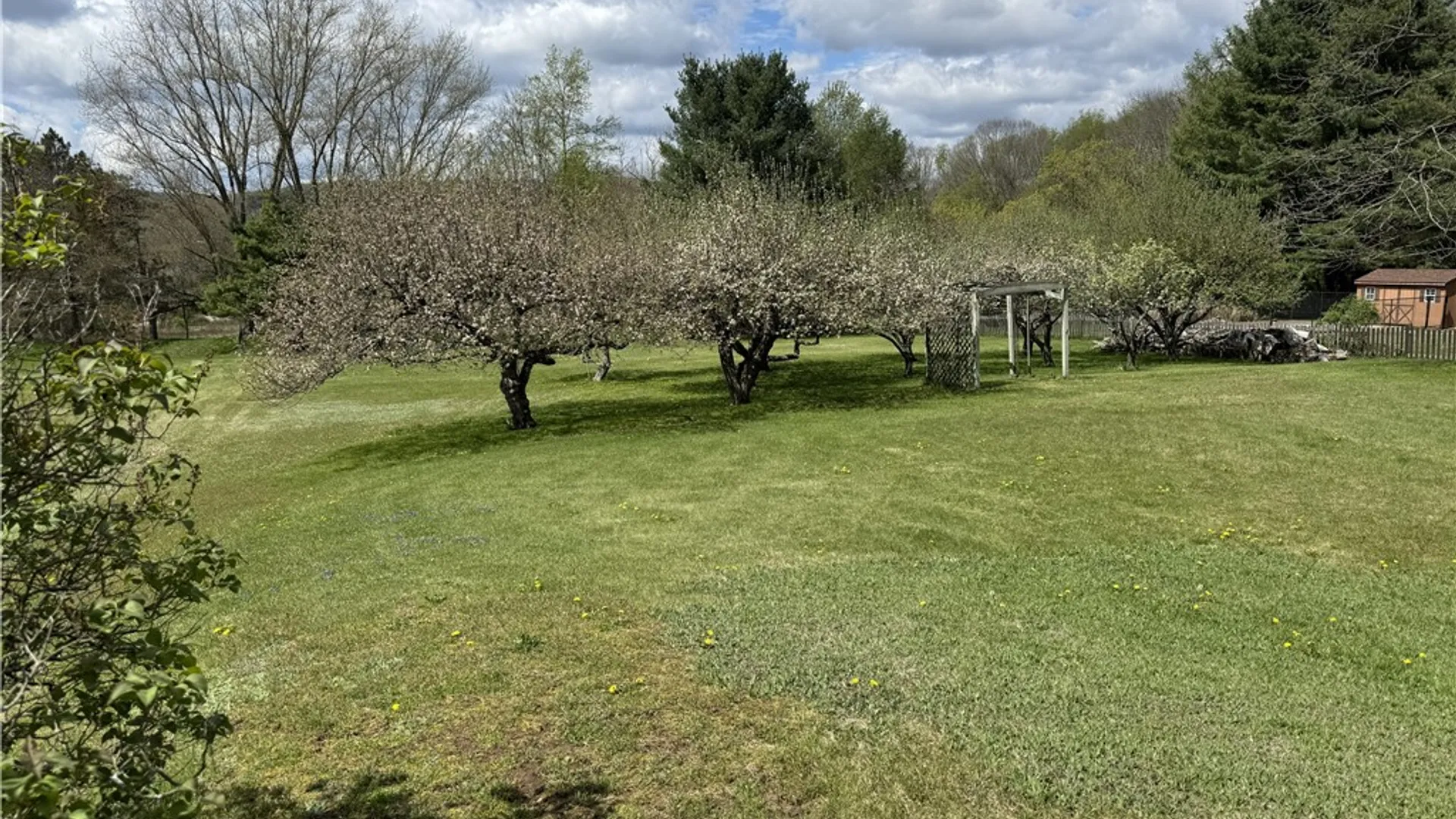 Property at 109 Afton Lake Road, Afton, NY 13730 46