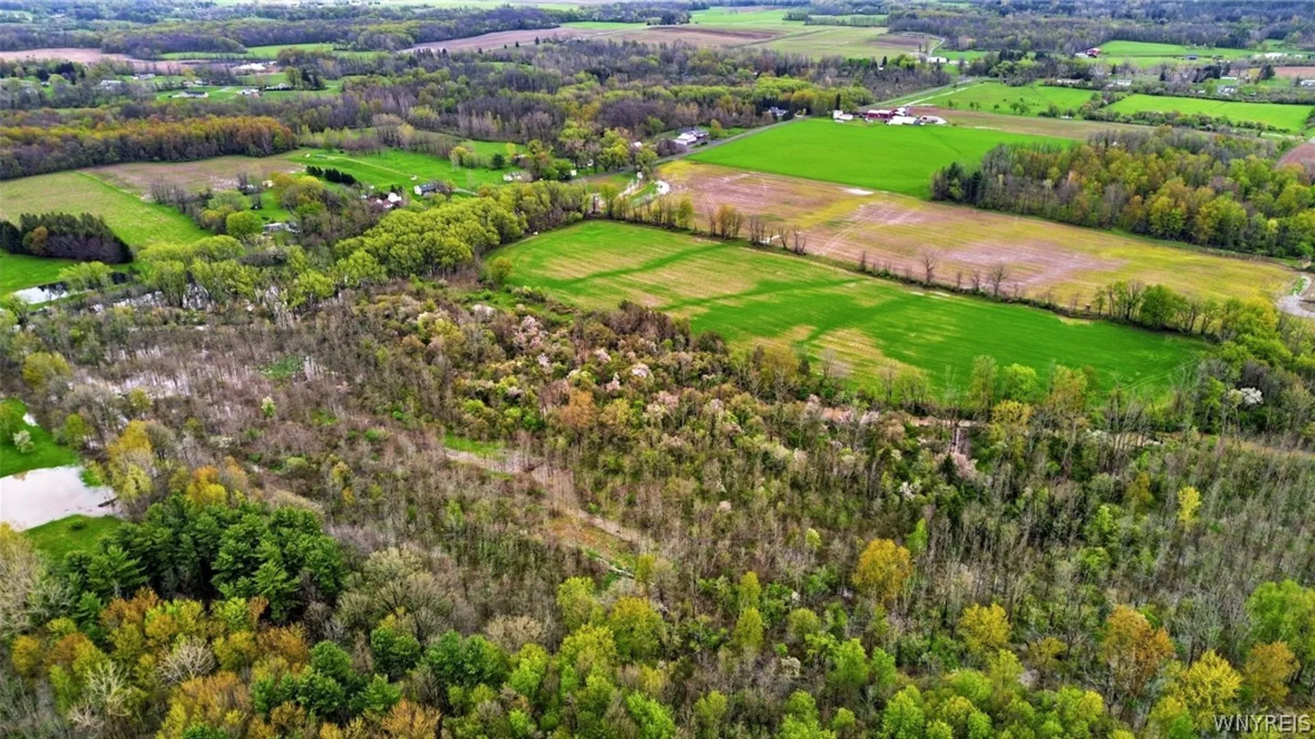 Property at Beaver Road, Alexander, NY 14005 11