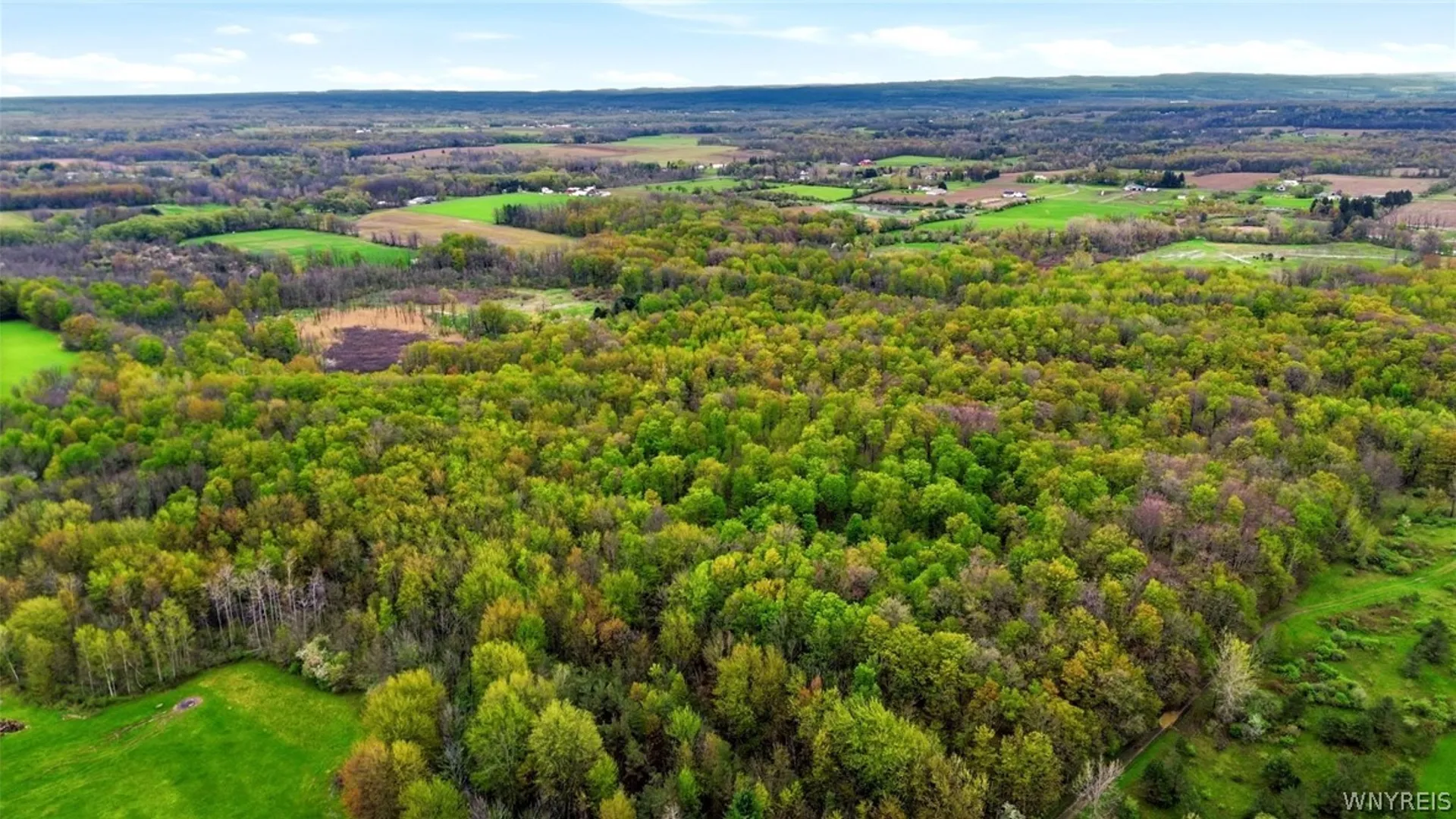 Property at Beaver Road, Alexander, NY 14005 20