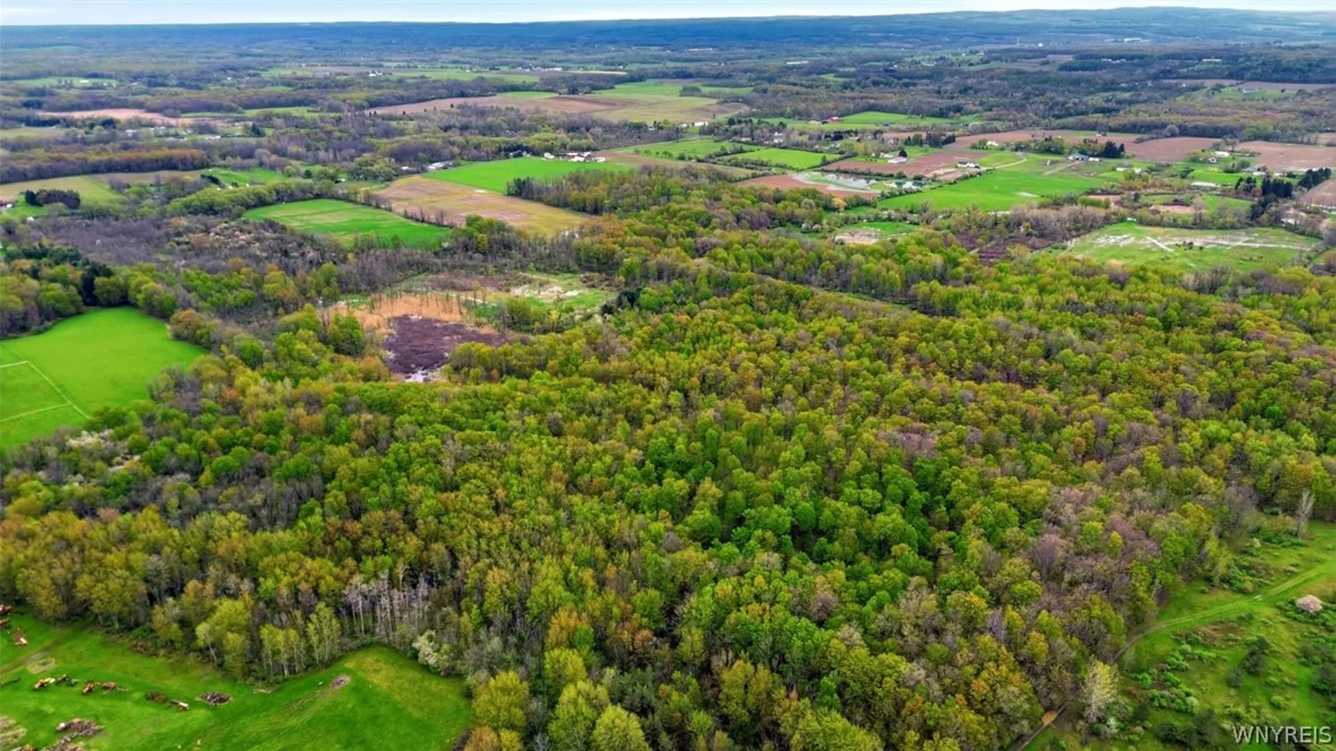 Property at Beaver Road, Alexander, NY 14005 21