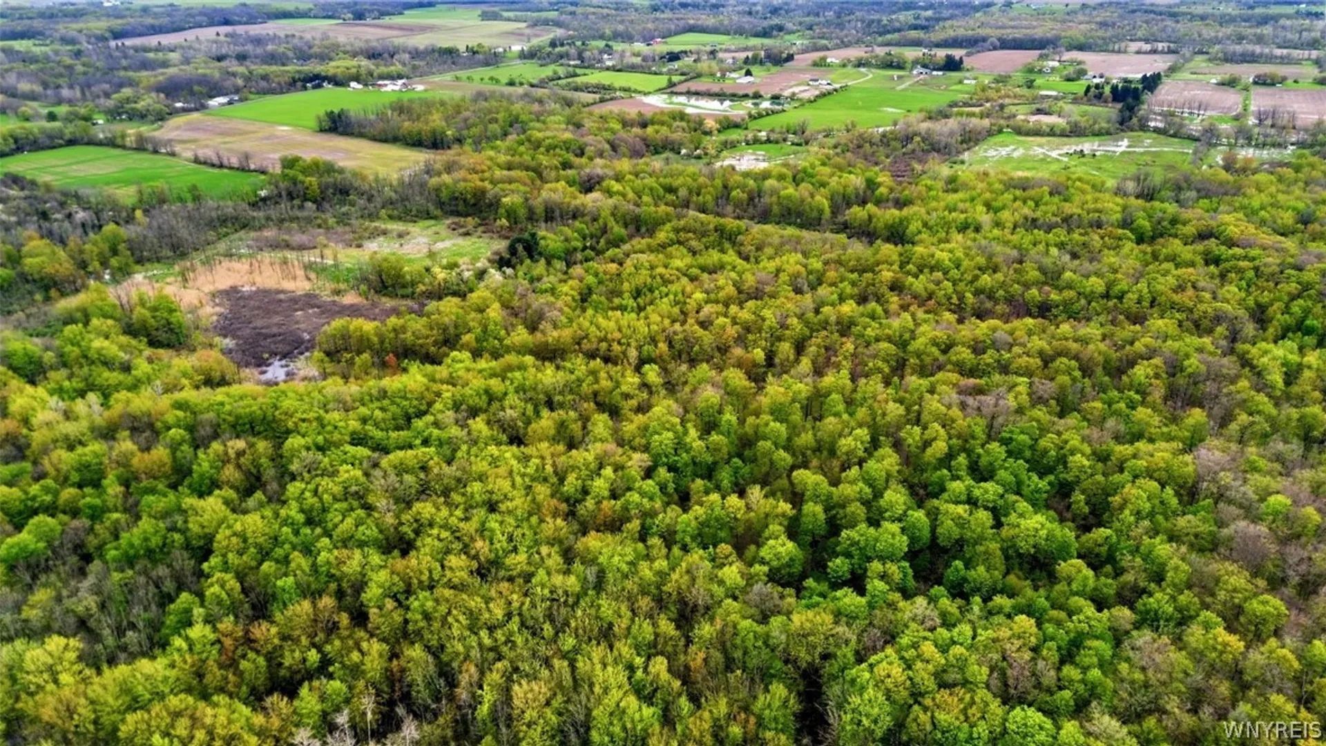 Property at Beaver Road, Alexander, NY 14005 23