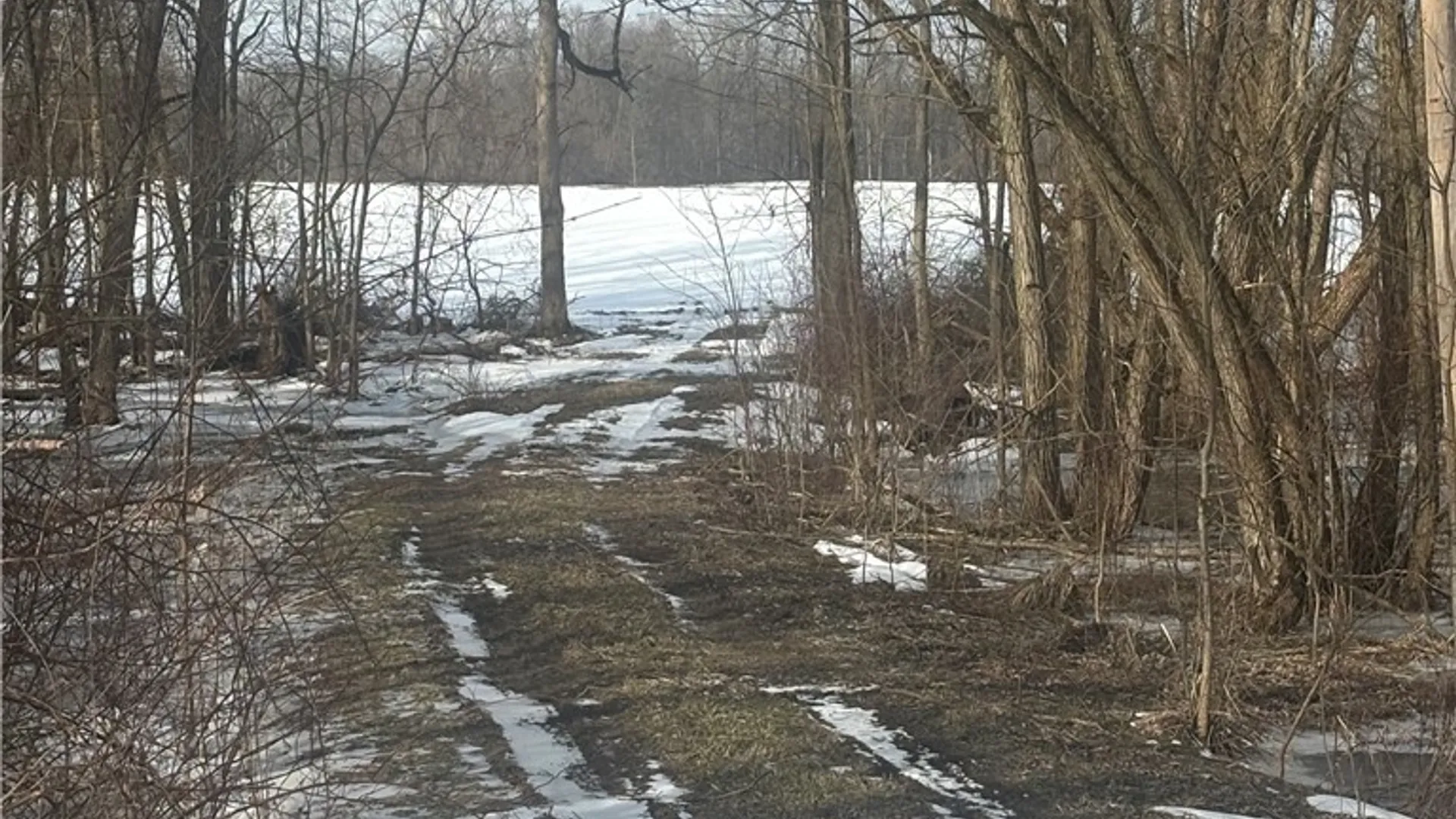 Property at Beaver Road, Alexander, NY 14005 26