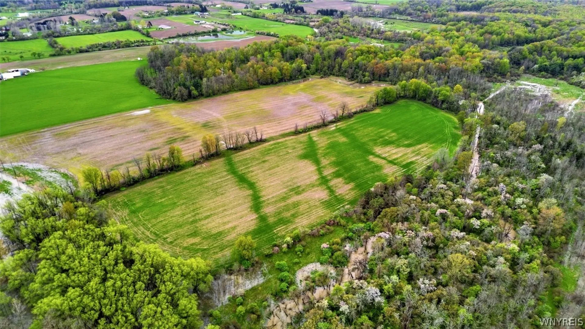 Property at Beaver Road, Alexander, NY 14005 8