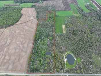 Youngs Road, Leon, NY 14726