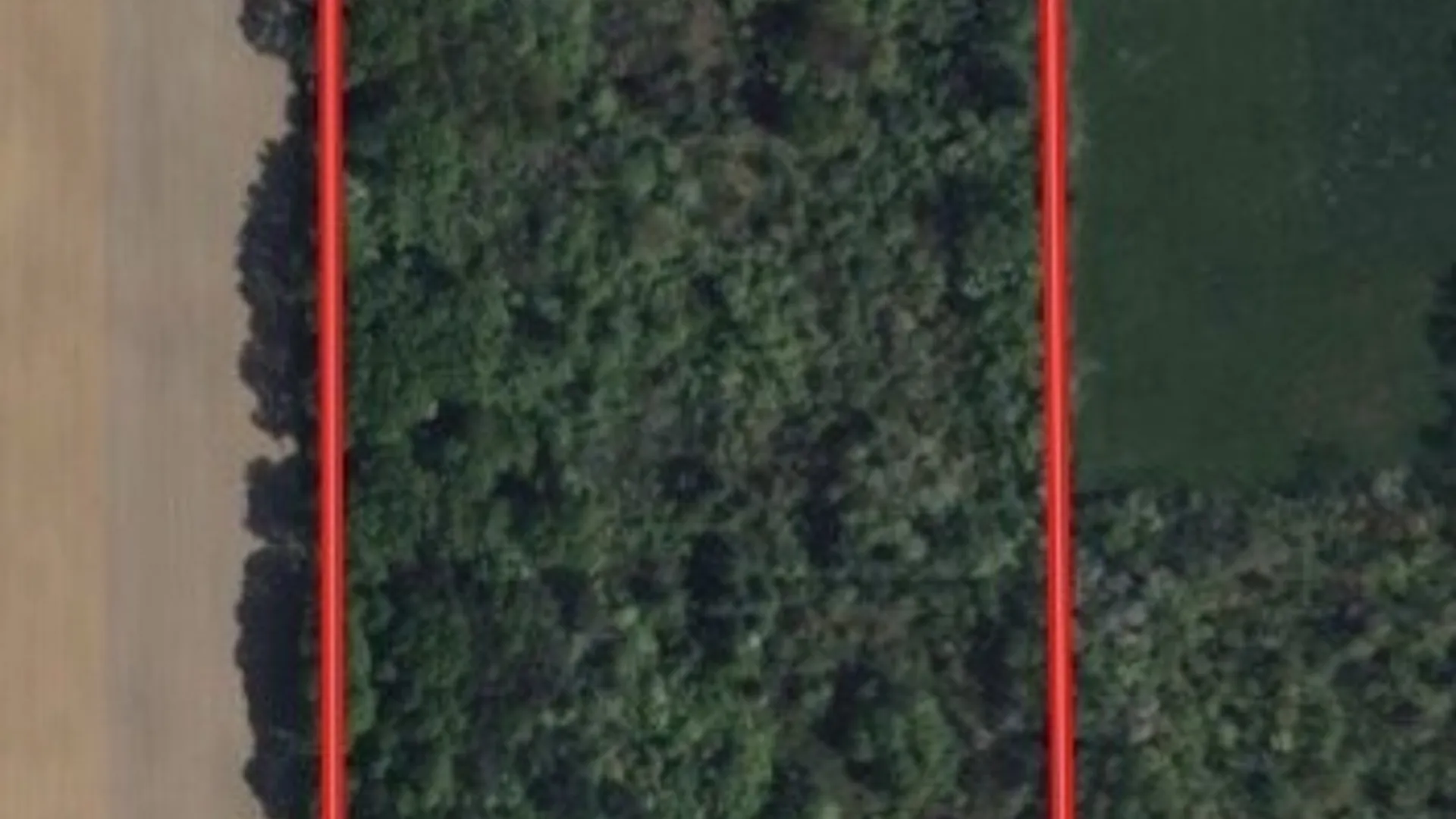 Property at Youngs Road, Leon, NY 14726 2