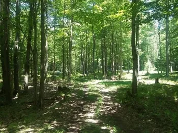 Property at #2 Tamblin Ridge Trail, Constantia, NY 13028