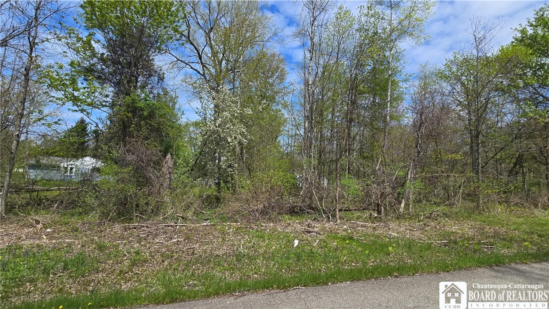 Property at V/L Monroe Avenue, Evans, NY 14006 3