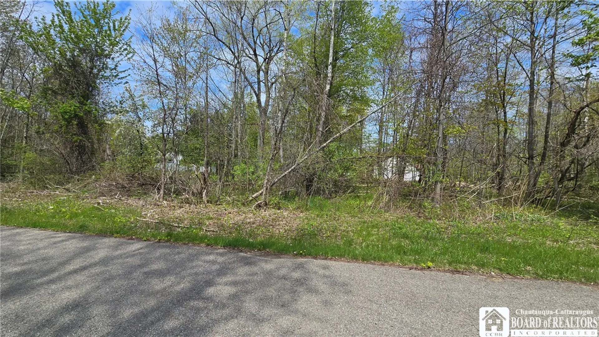 Property at V/L Monroe Avenue, Evans, NY 14006 4