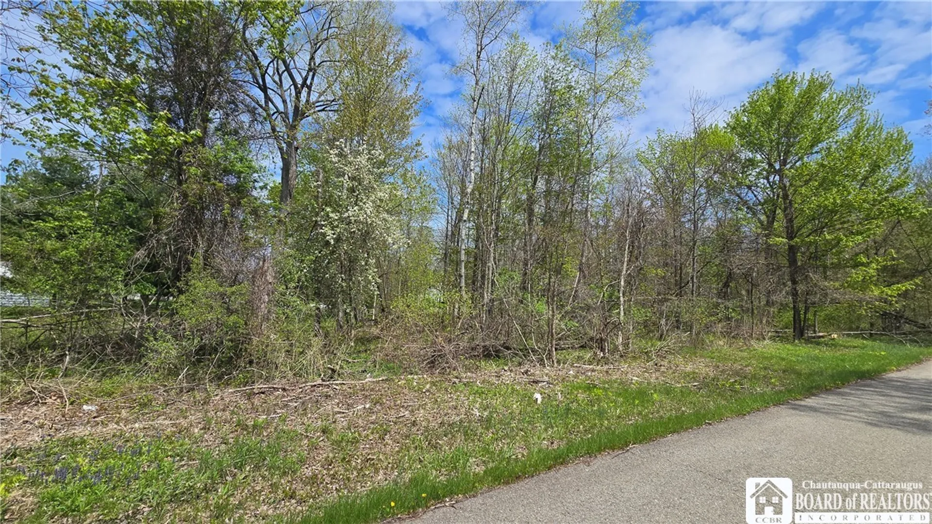 Property at V/L Monroe Avenue, Evans, NY 14006 6