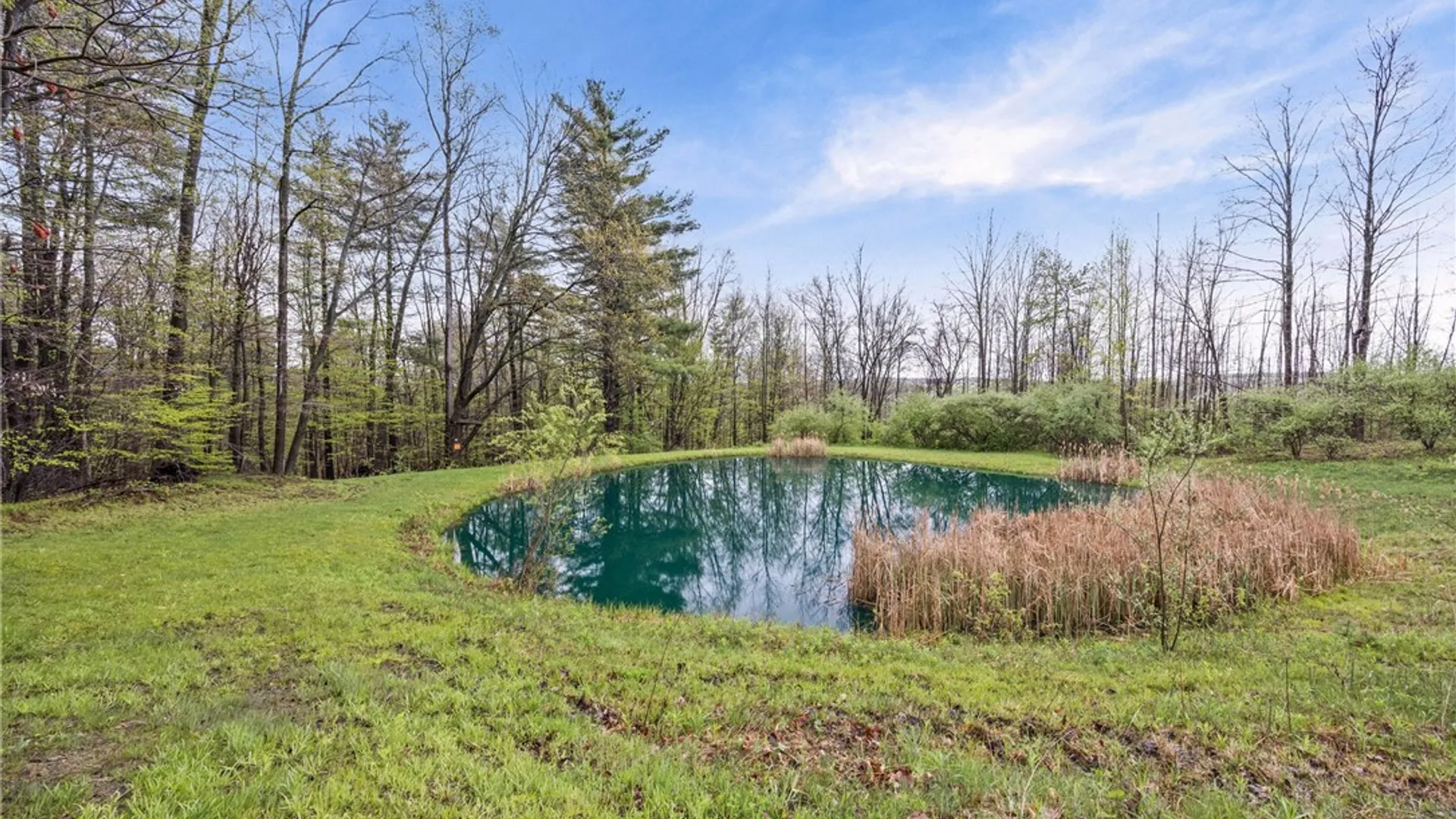 Property at 4731 Christian Road, Ossian, NY 14437 40