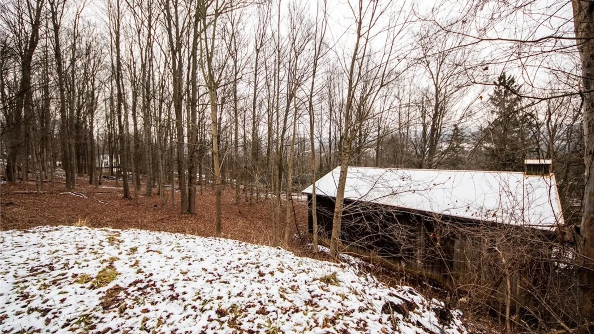 Property at Center Street, Oneonta, NY 13820 9