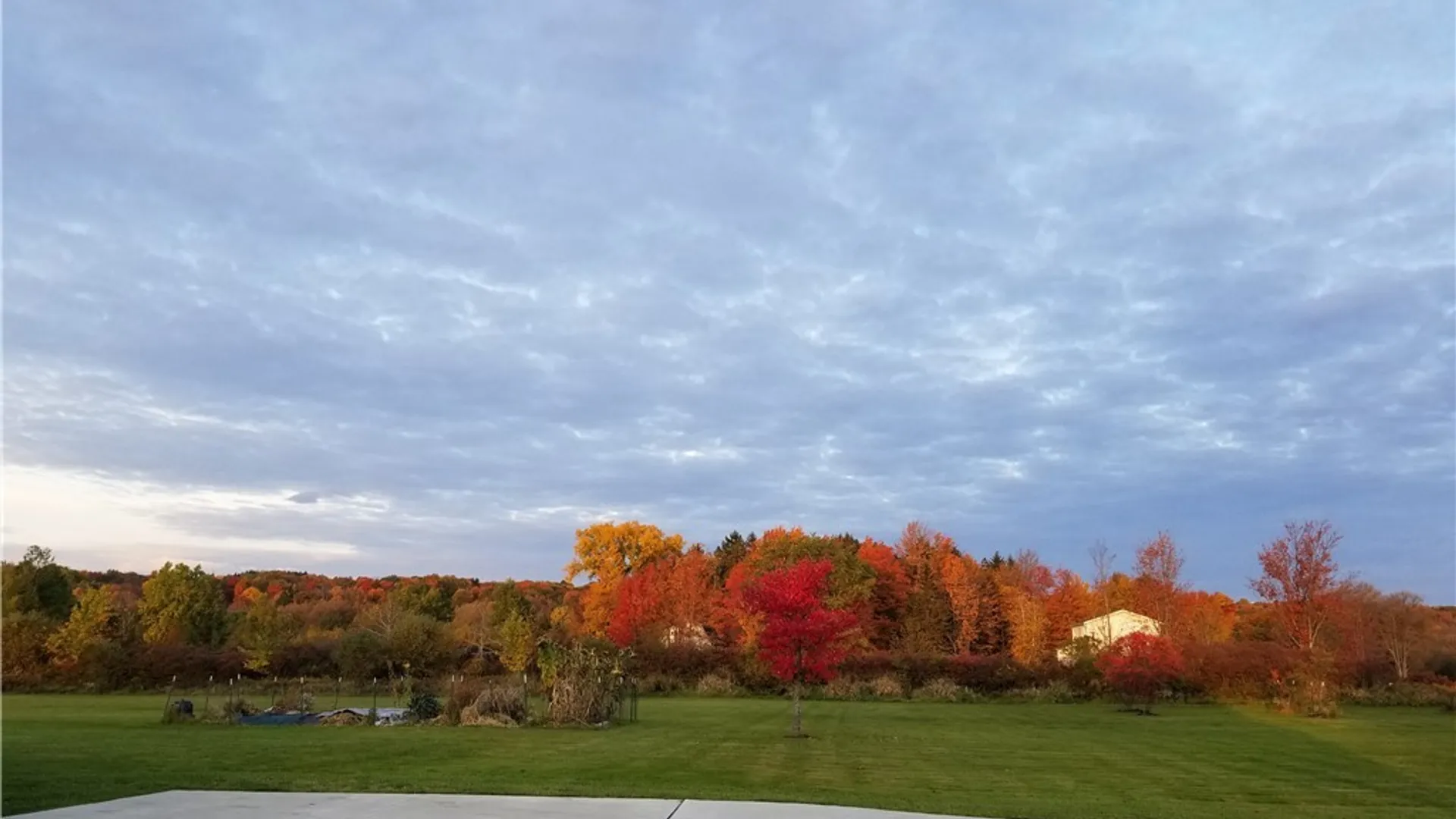 Property at 12835 Whitney Road, Holland, NY 14080 6