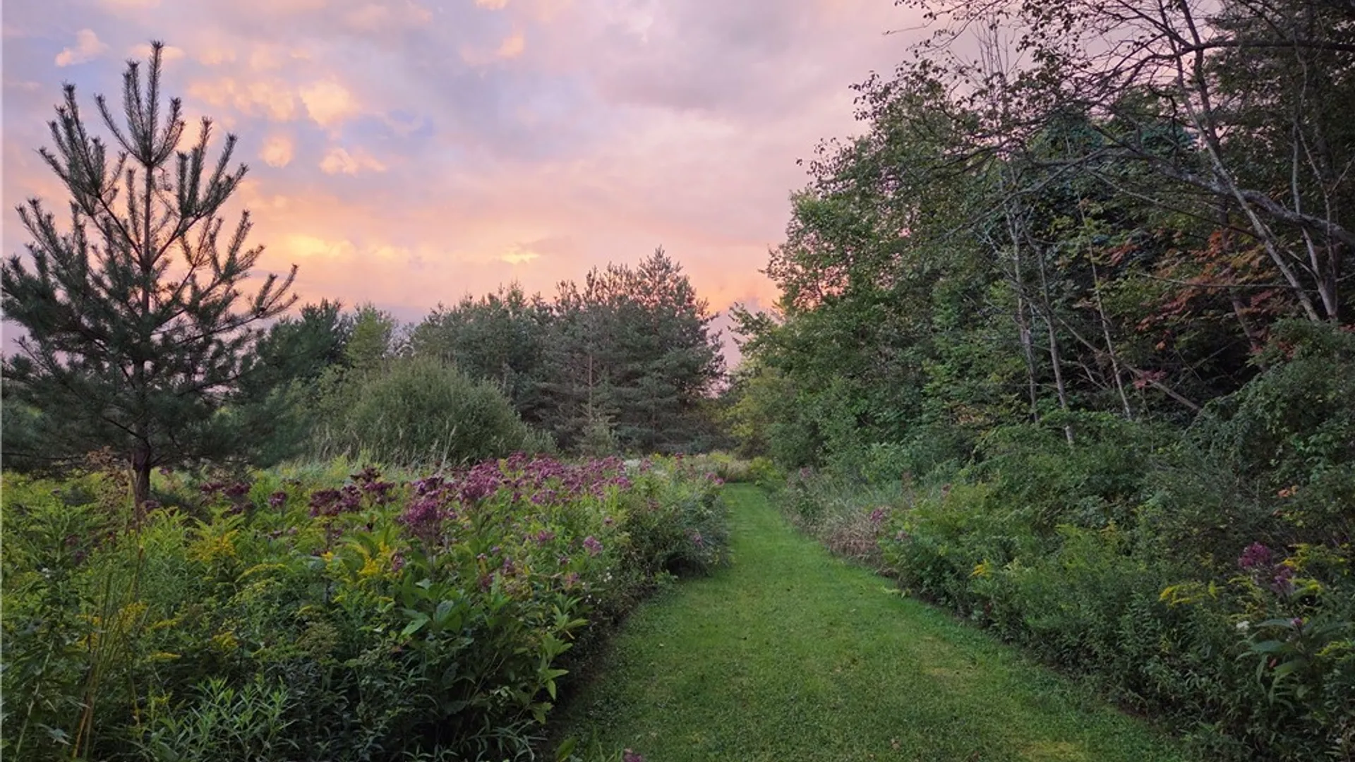 Property at V/L Whitney Road, Holland, NY 14080 11