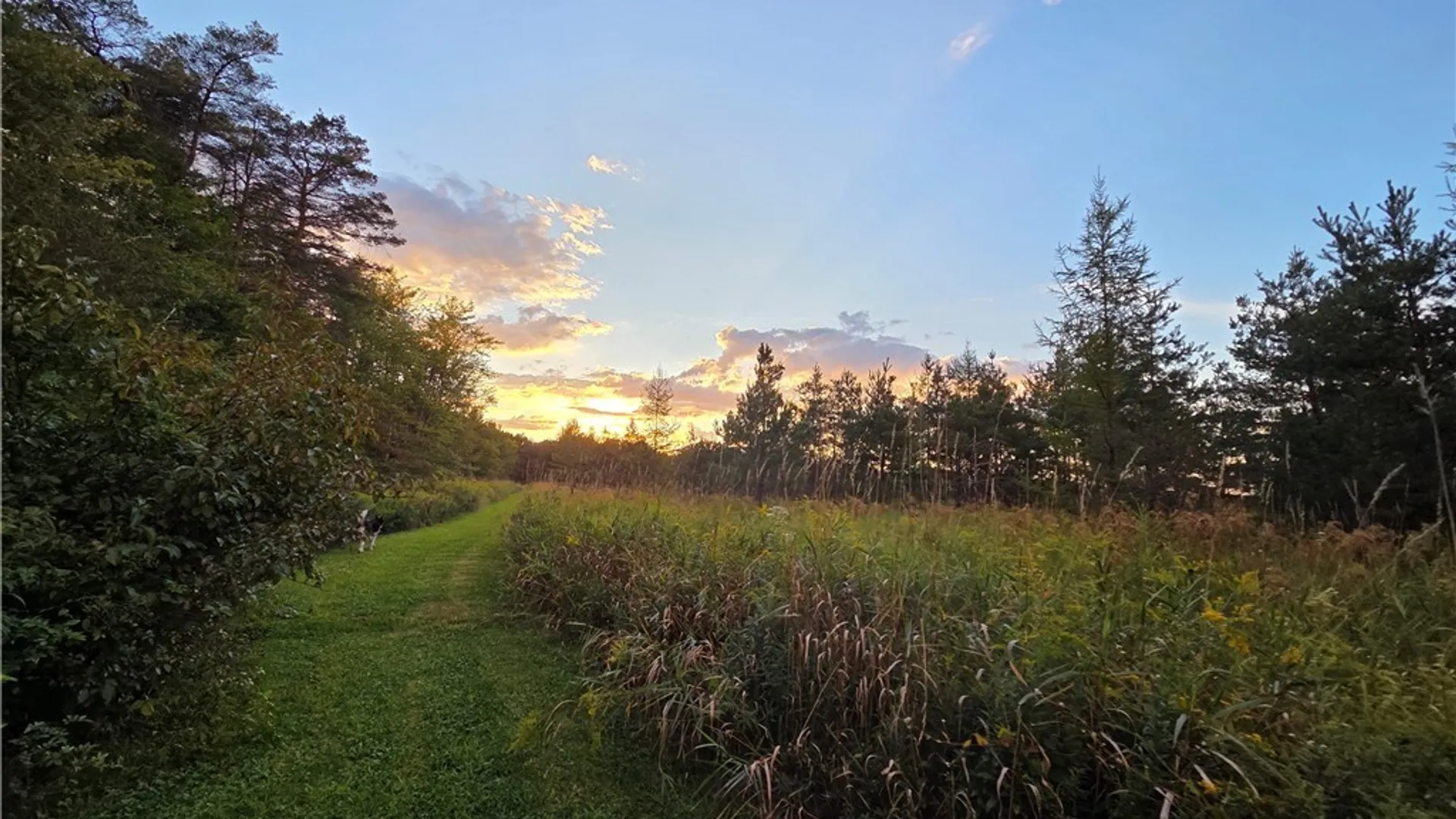 Property at V/L Whitney Road, Holland, NY 14080 12