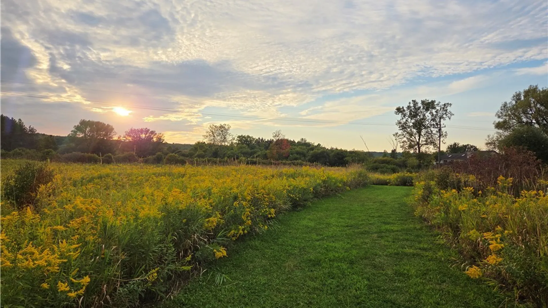 Property at V/L Whitney Road, Holland, NY 14080 13