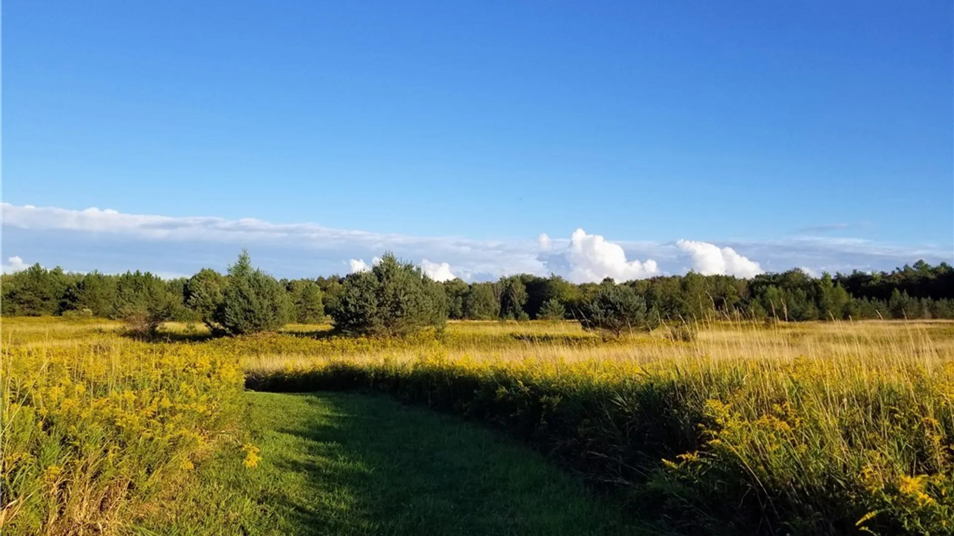 Property at V/L Whitney Road, Holland, NY 14080 14