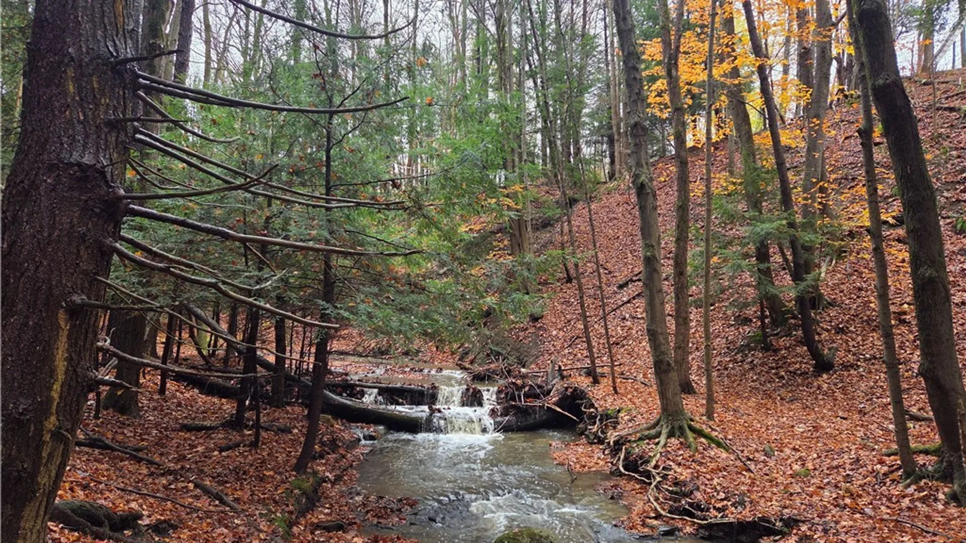 Property at V/L Whitney Road, Holland, NY 14080 18