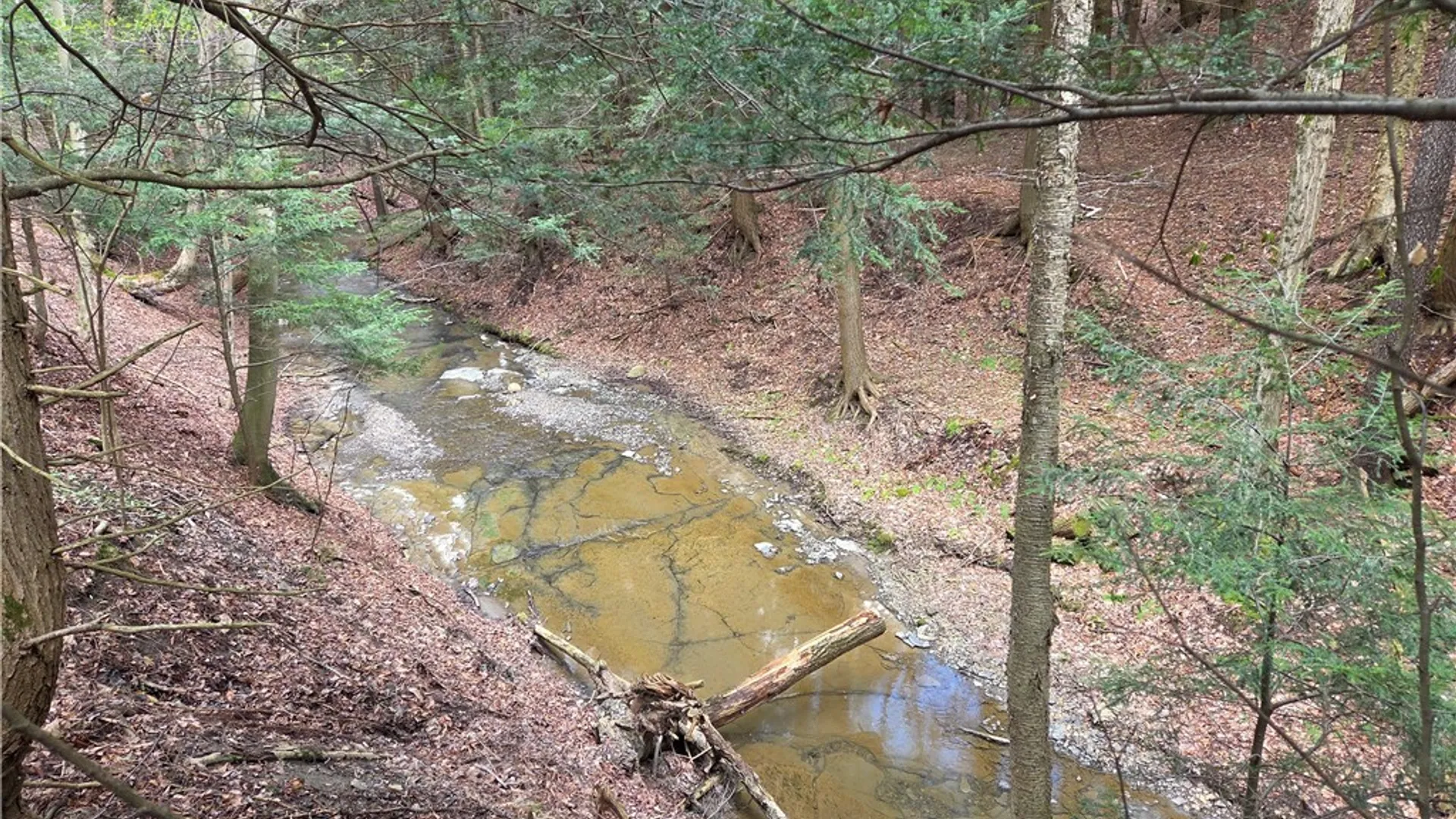 Property at V/L Whitney Road, Holland, NY 14080 21