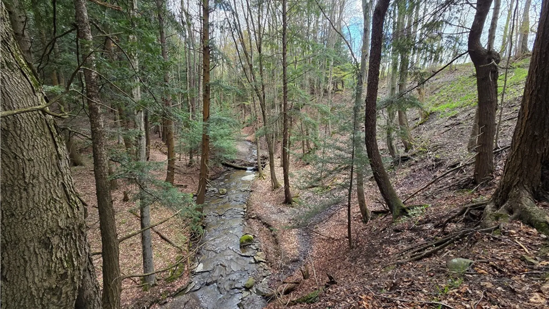 Property at V/L Whitney Road, Holland, NY 14080 22