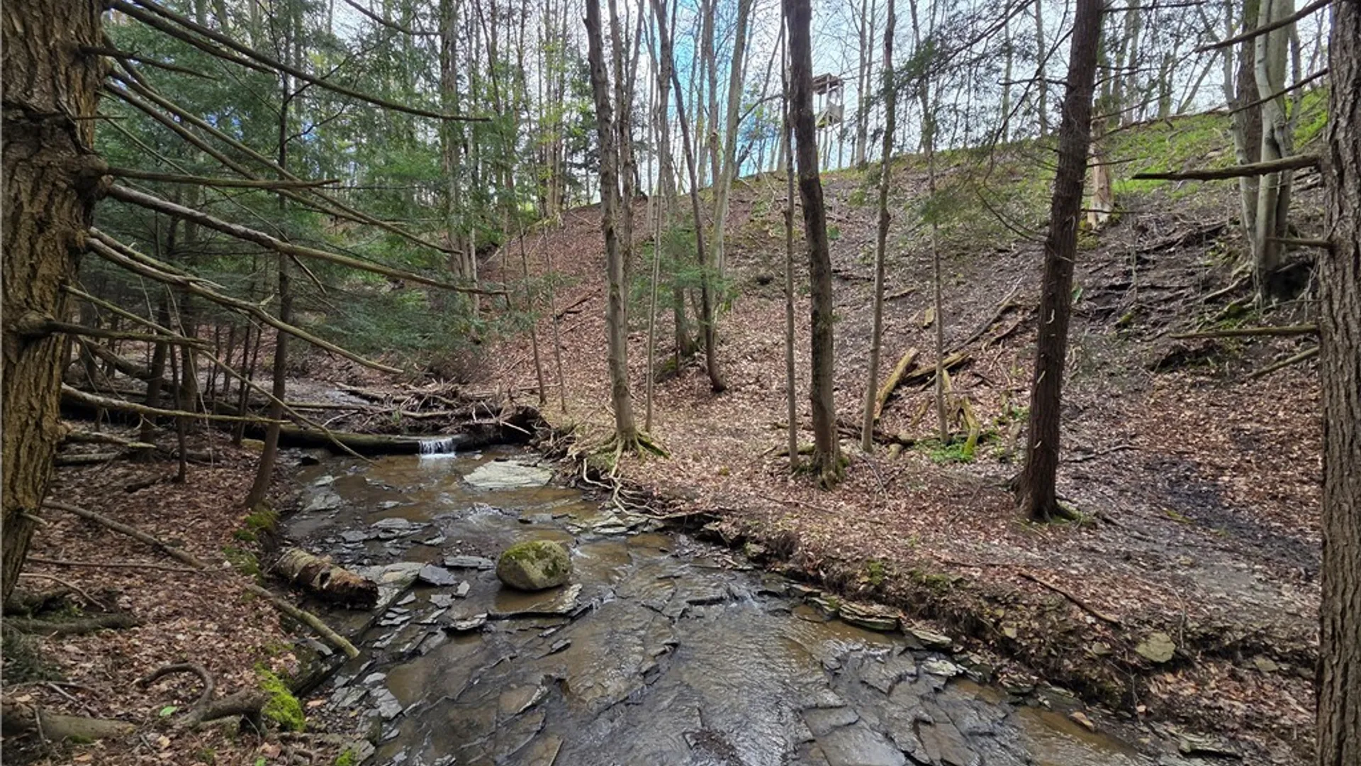 Property at V/L Whitney Road, Holland, NY 14080 29