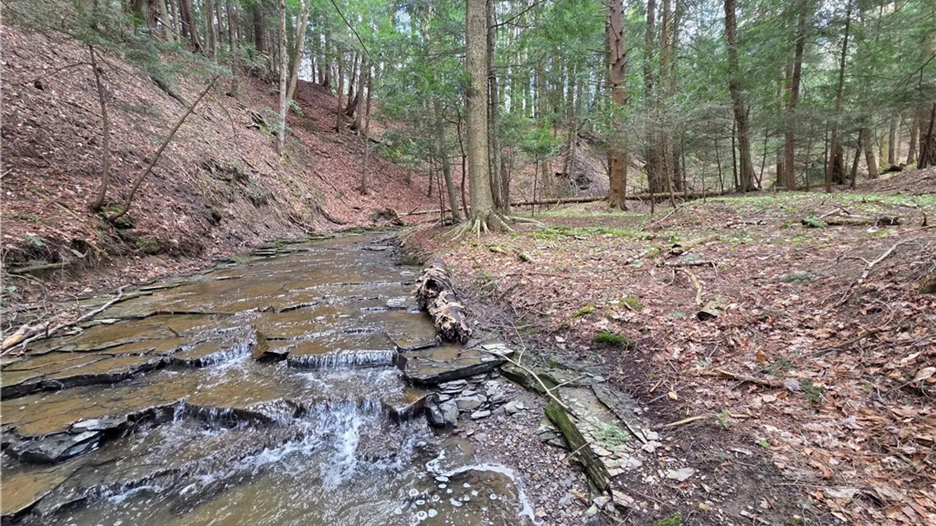 Property at V/L Whitney Road, Holland, NY 14080 31