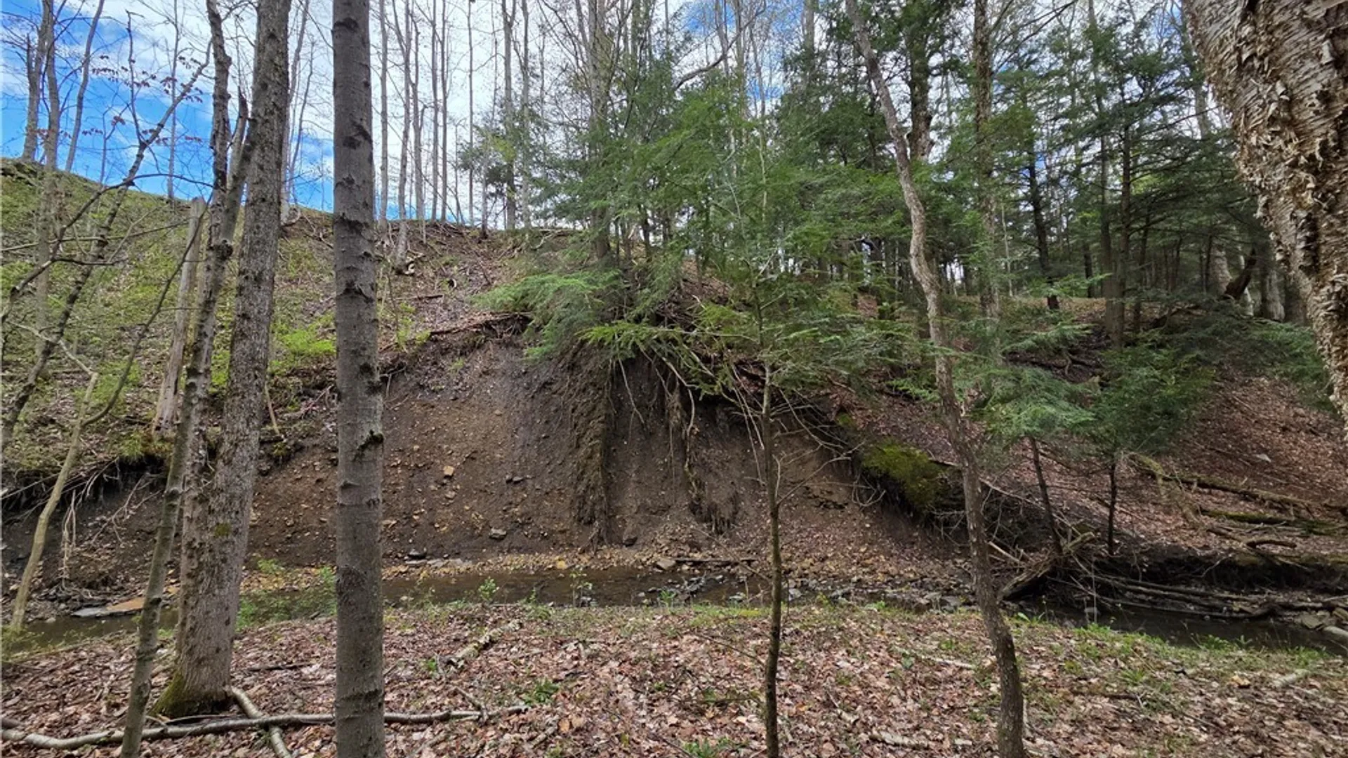 Property at V/L Whitney Road, Holland, NY 14080 32