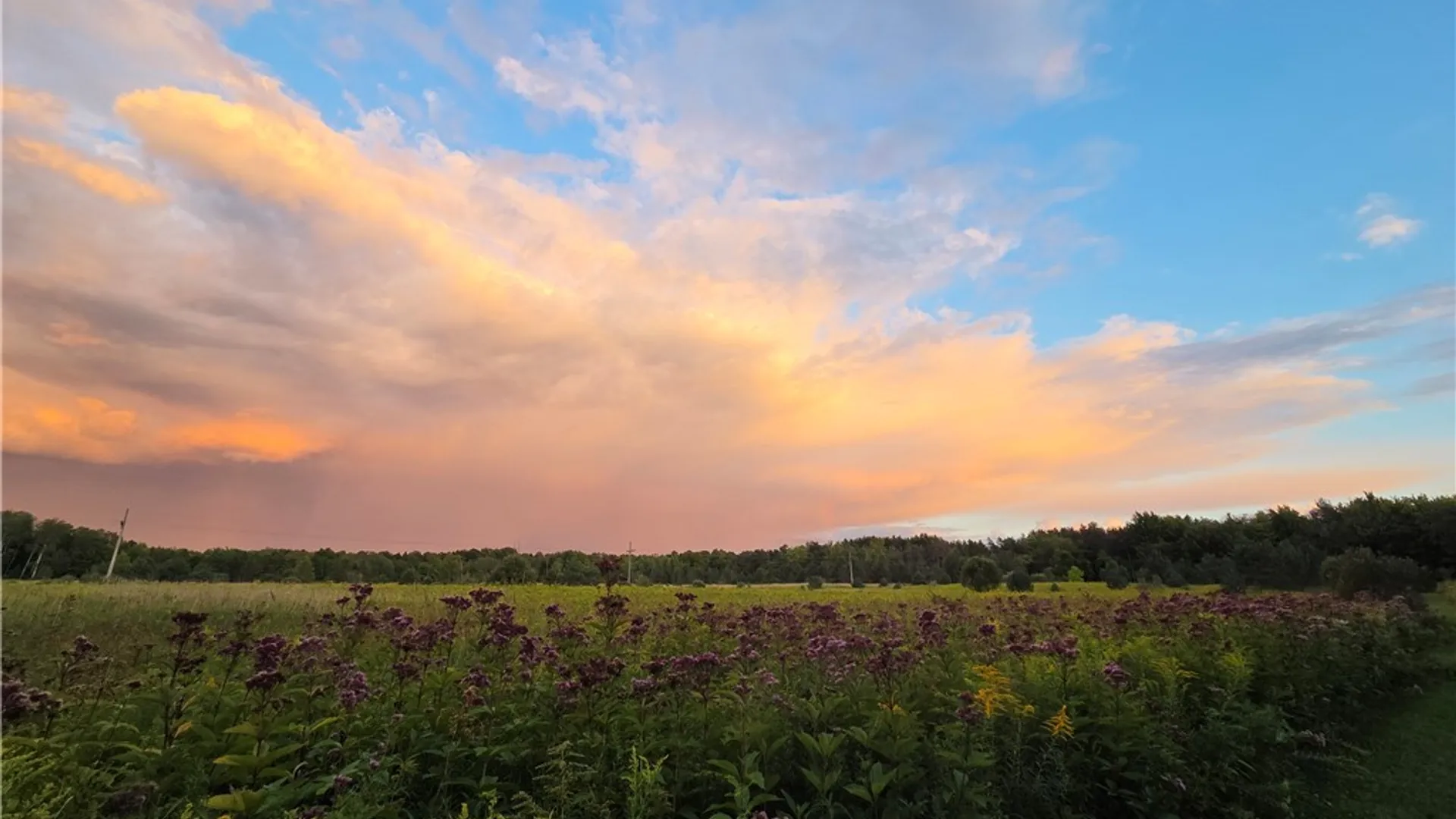 Property at V/L Whitney Road, Holland, NY 14080 4